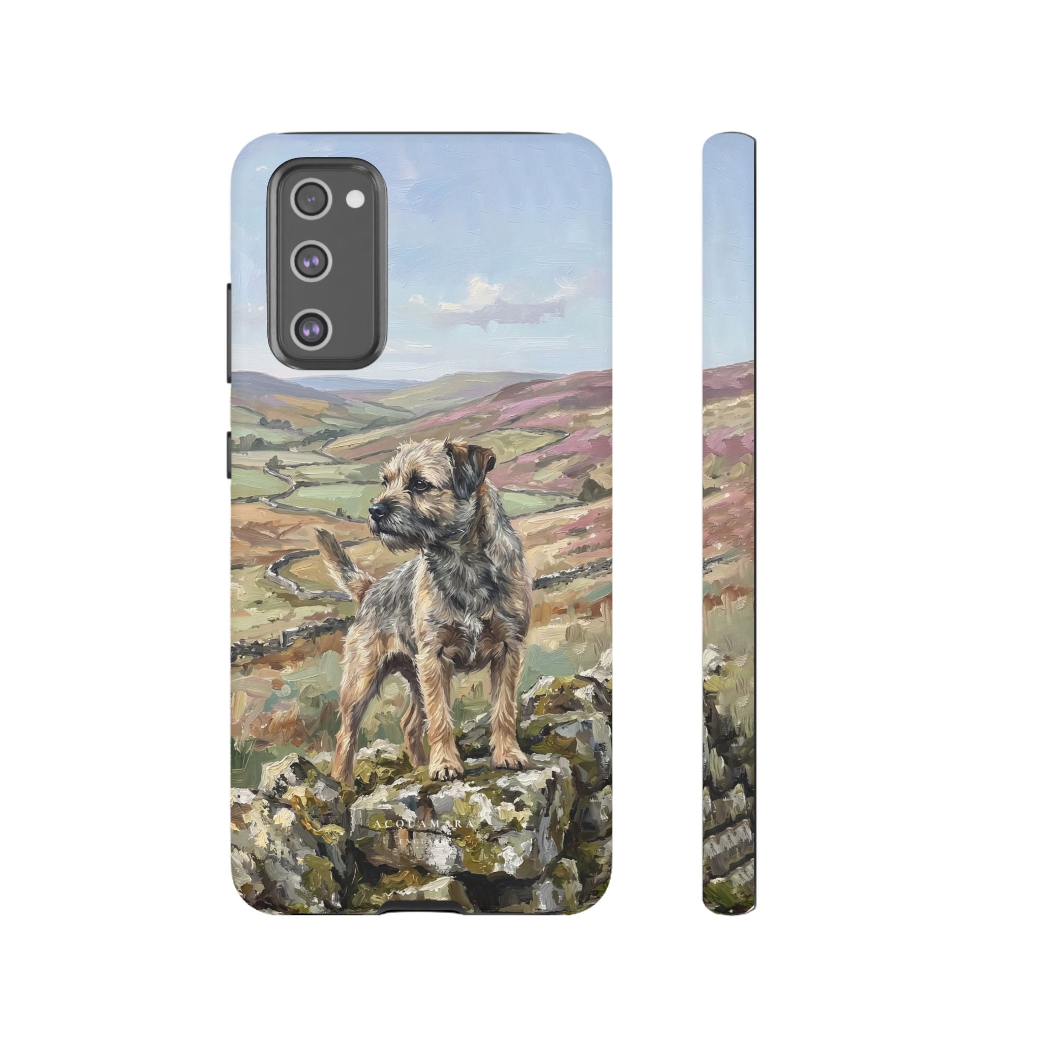 The Border Terrier (Grizzle and Tan)