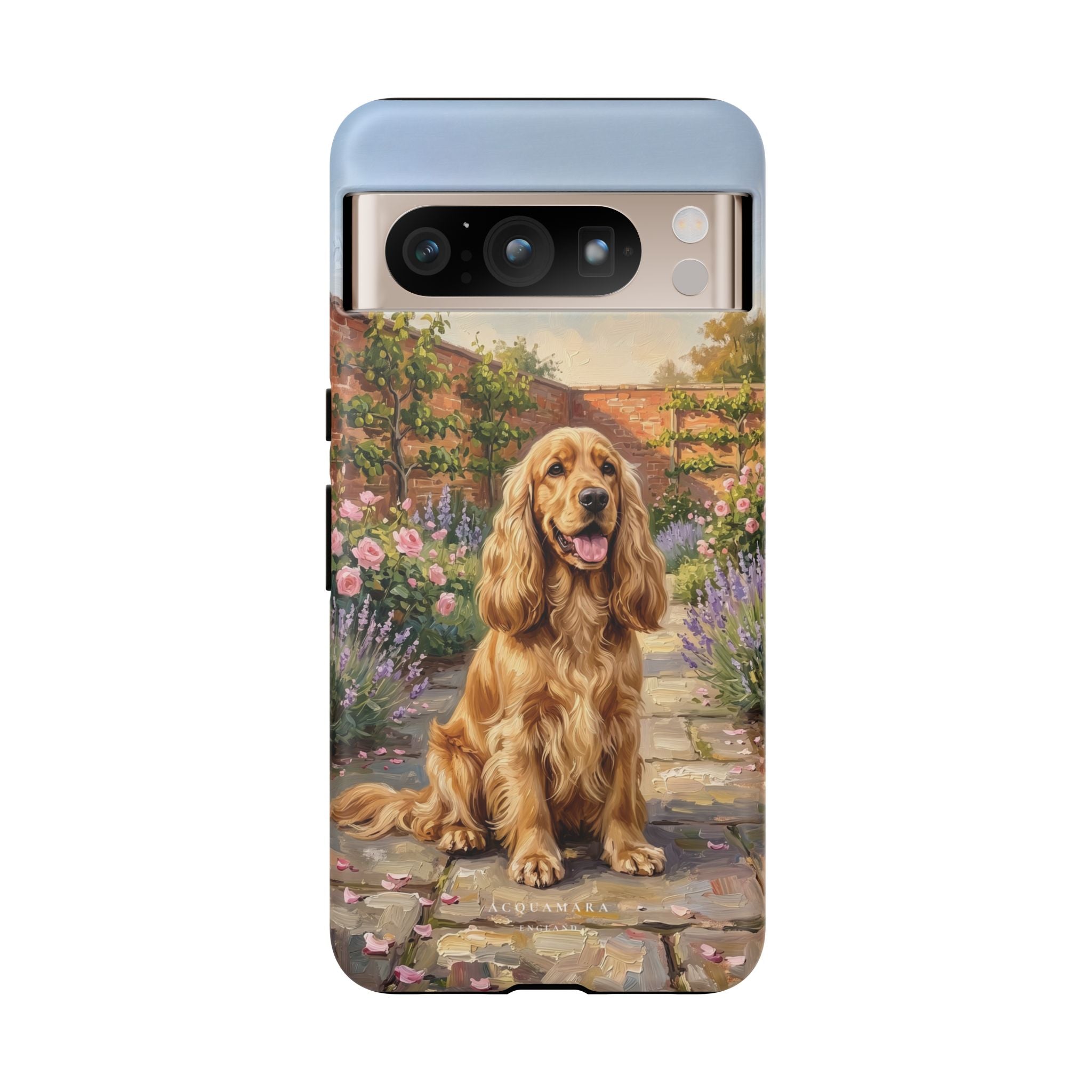 The Show Cocker (Golden)