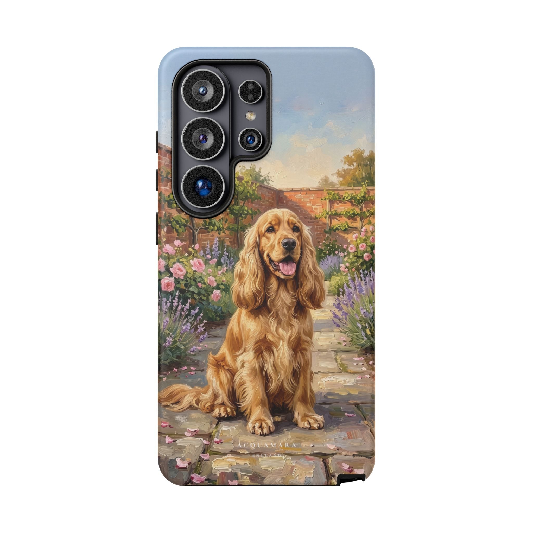 The Show Cocker (Golden)