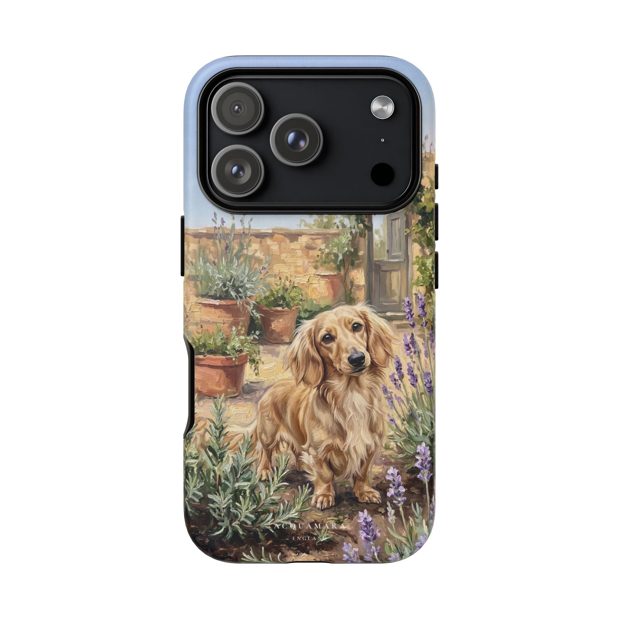 The Dachshund (Blonde long hair)