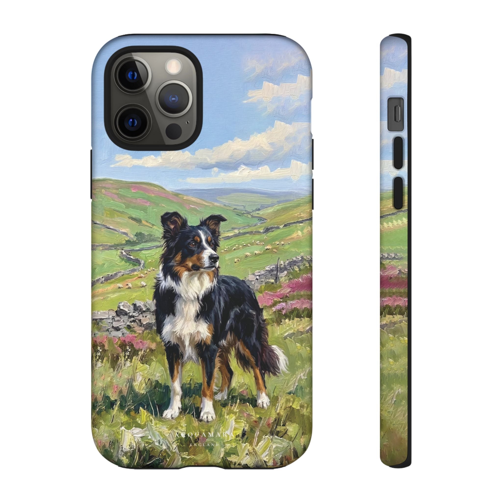 The Border Collie