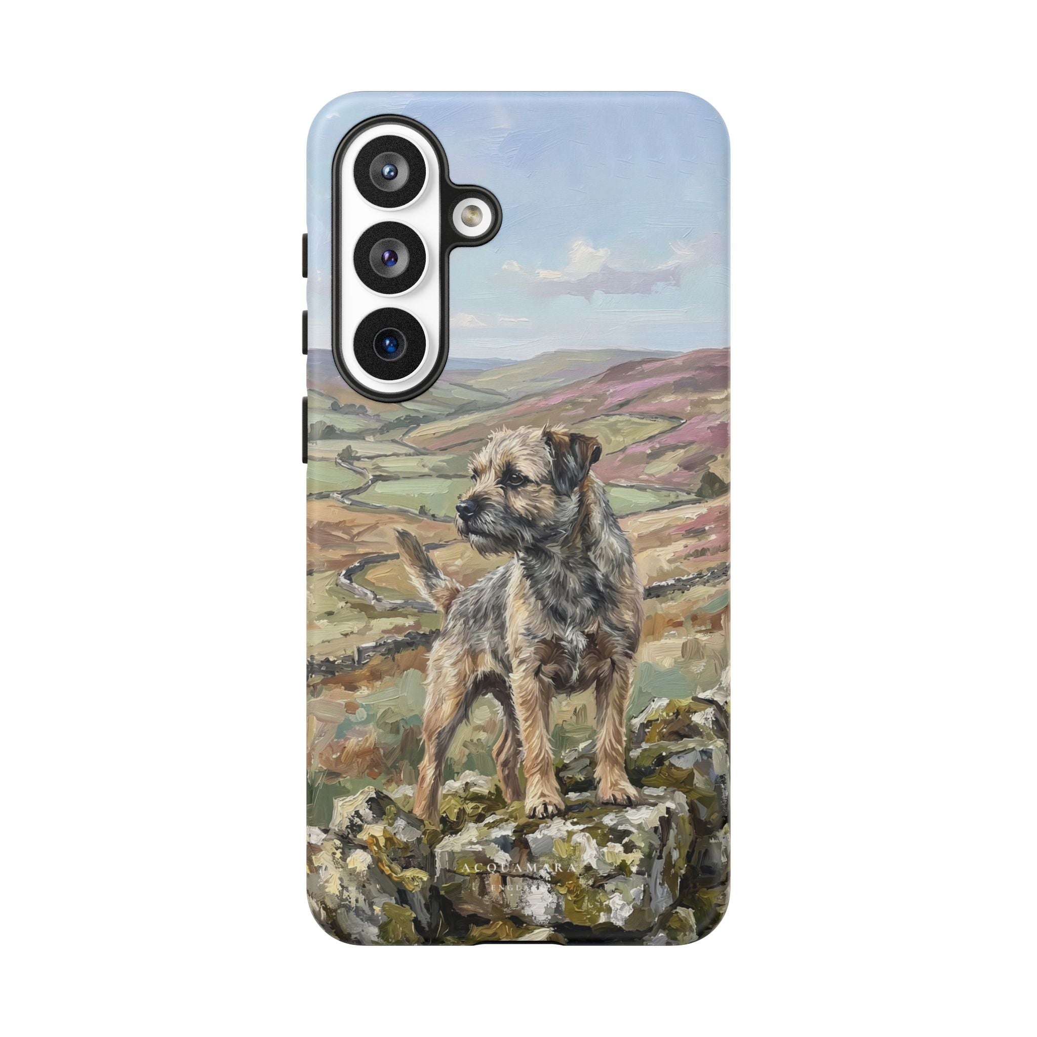 The Border Terrier (Grizzle and Tan)