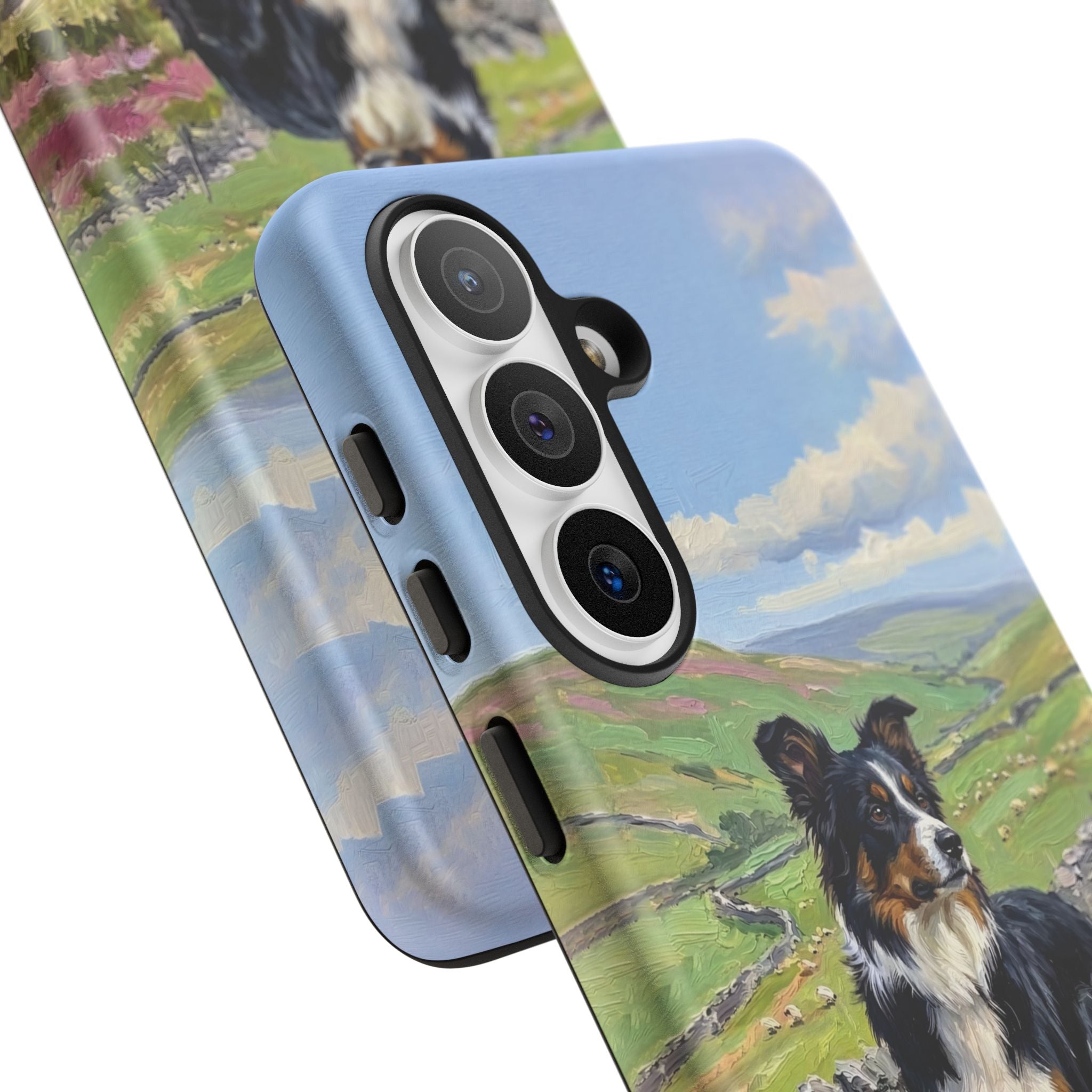 The Border Collie