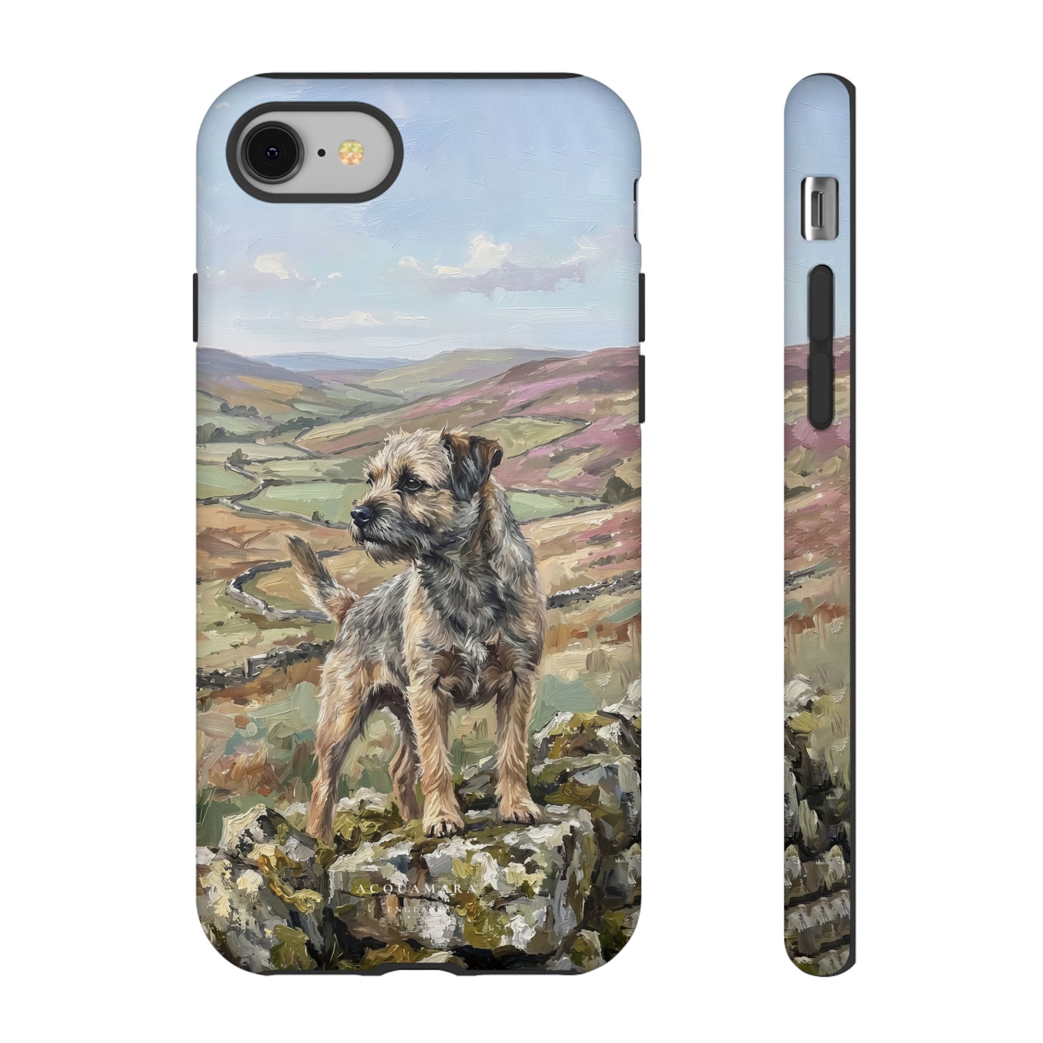 The Border Terrier (Grizzle and Tan)