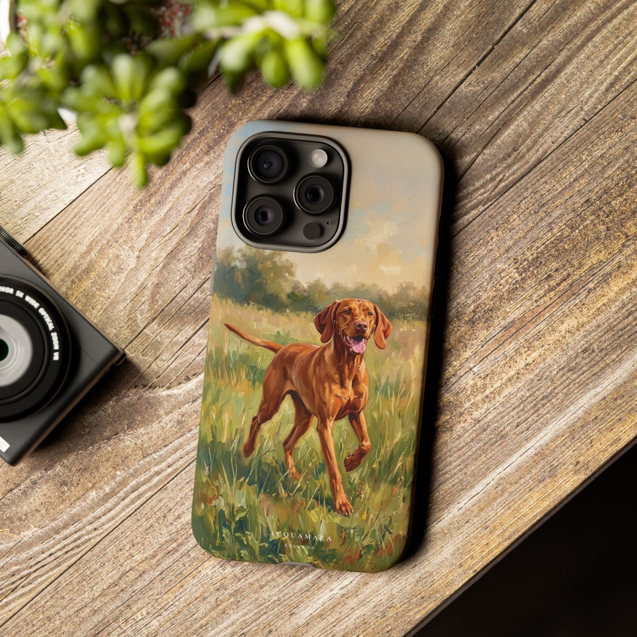 The Hungarian Vizsla