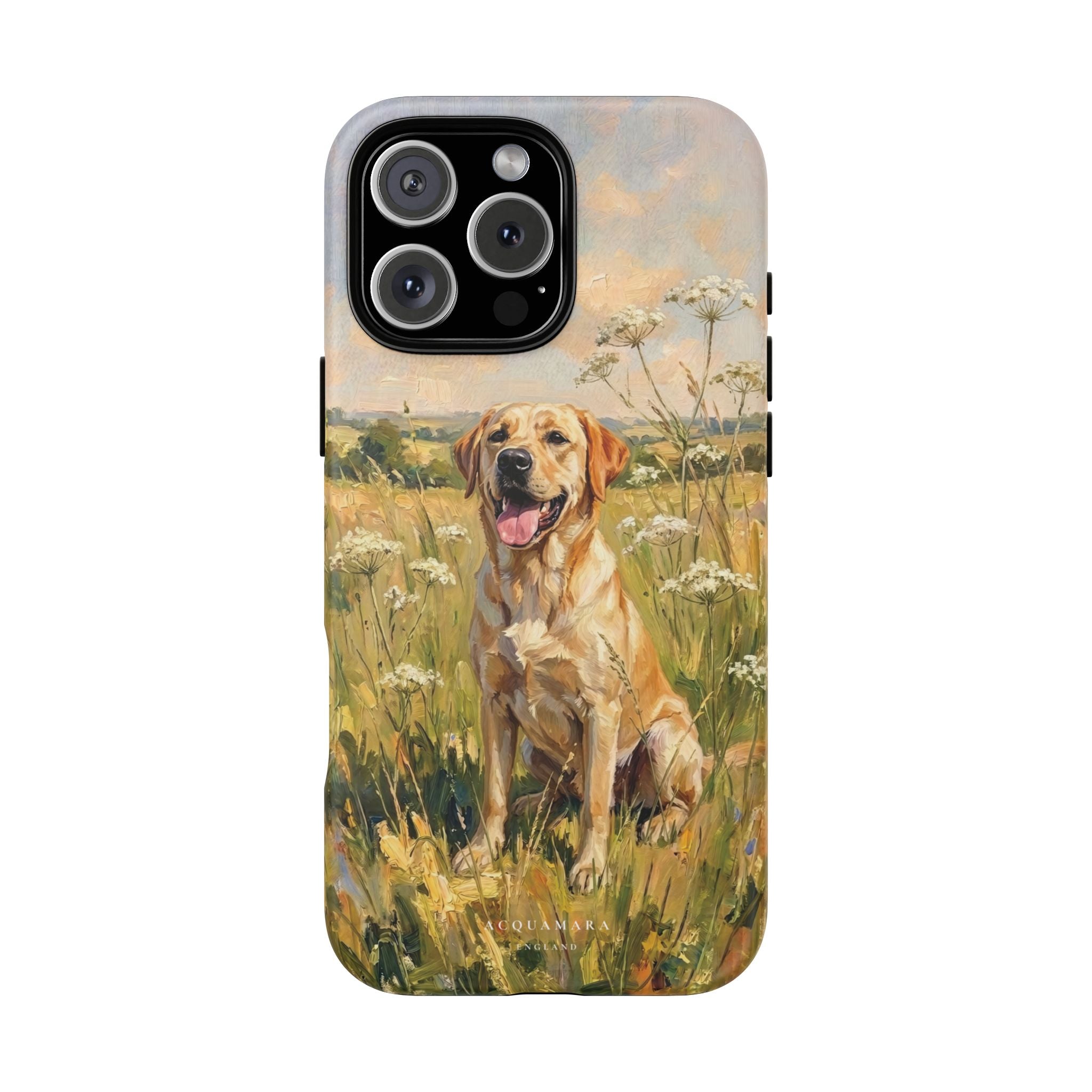 The Labrador (Yellow)