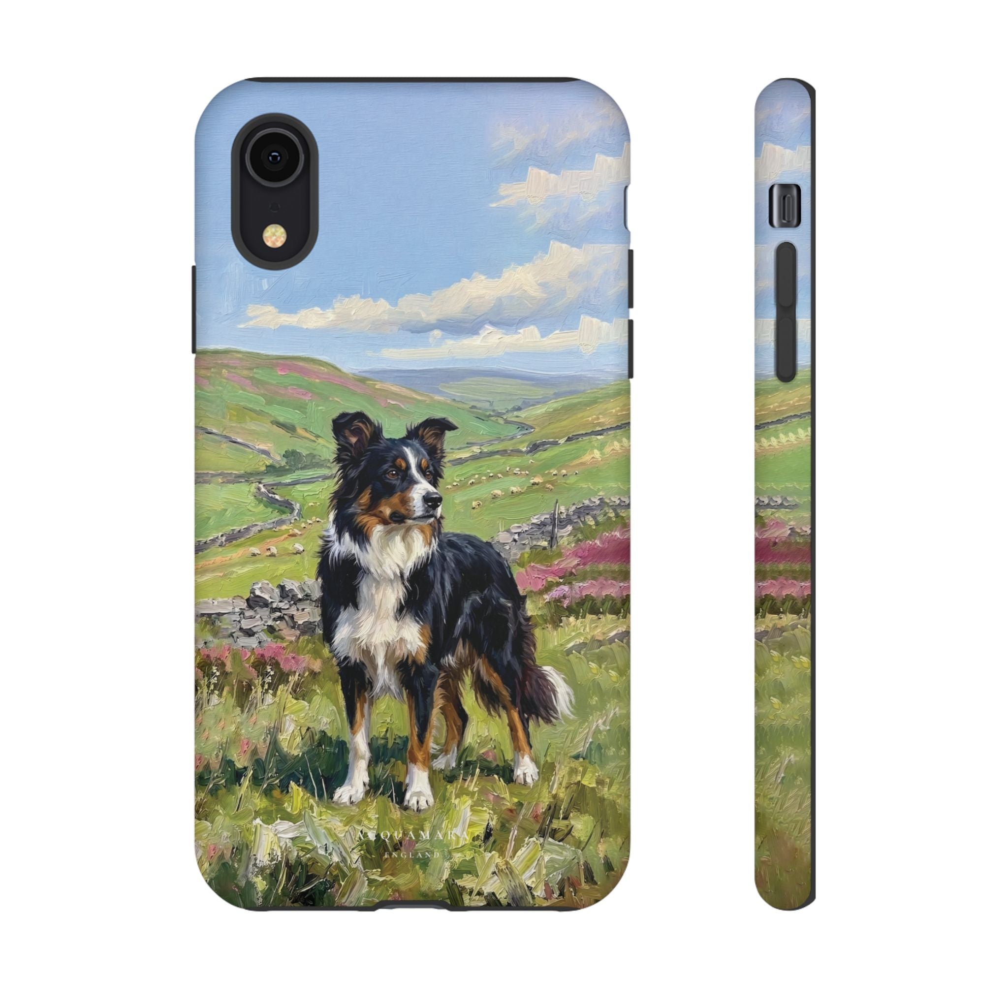 The Border Collie