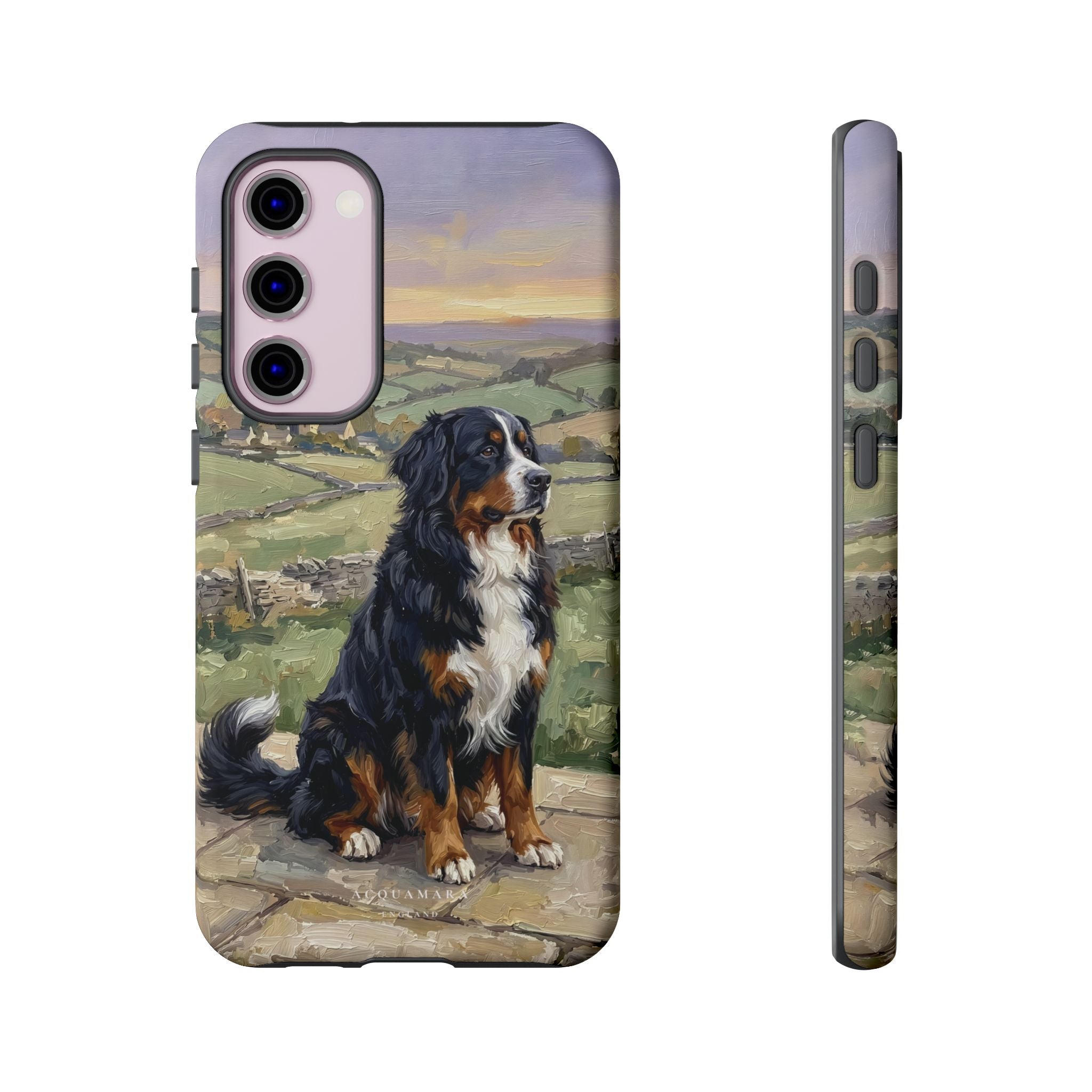 The Bernese Mountain Dog