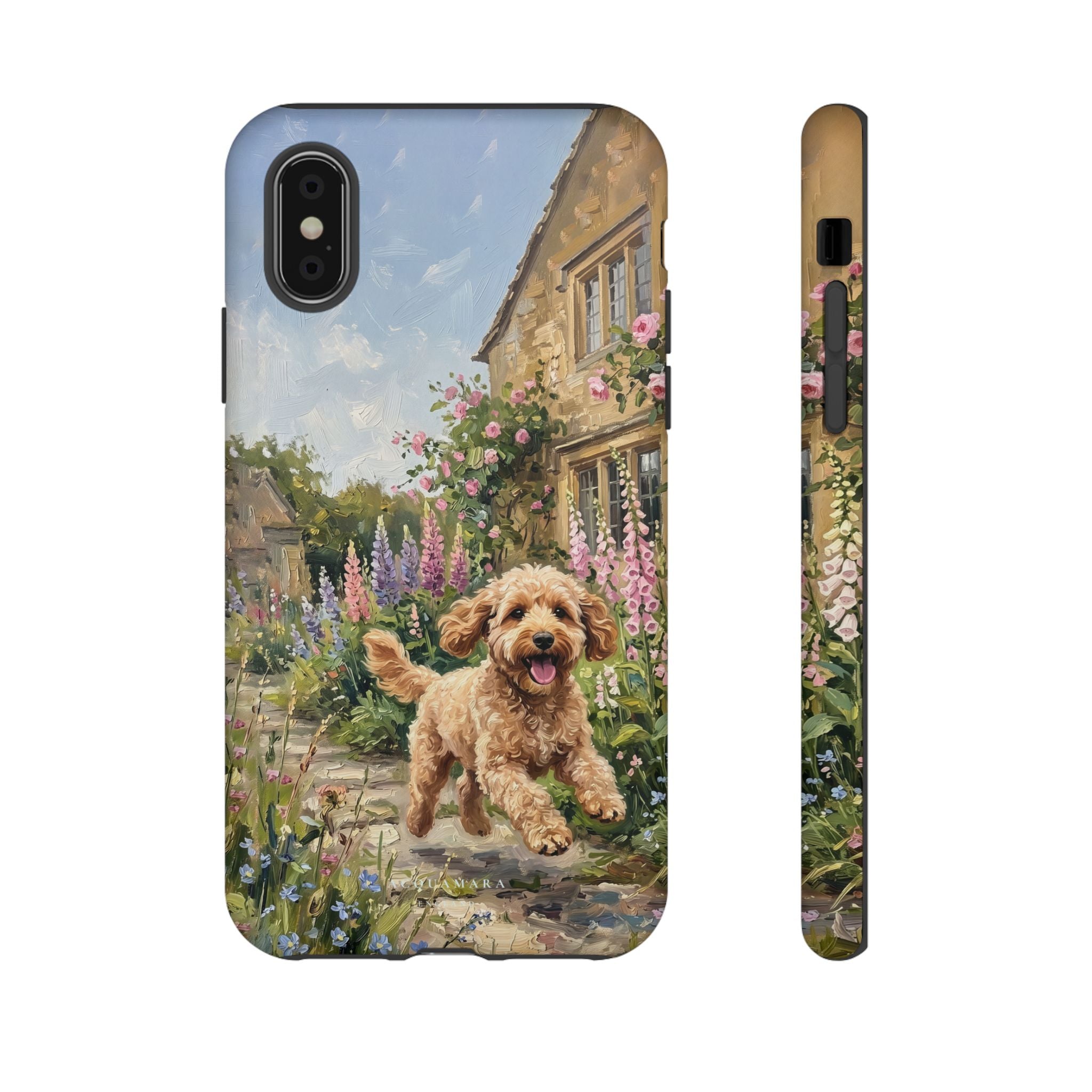 The Cockapoo (Apricot)