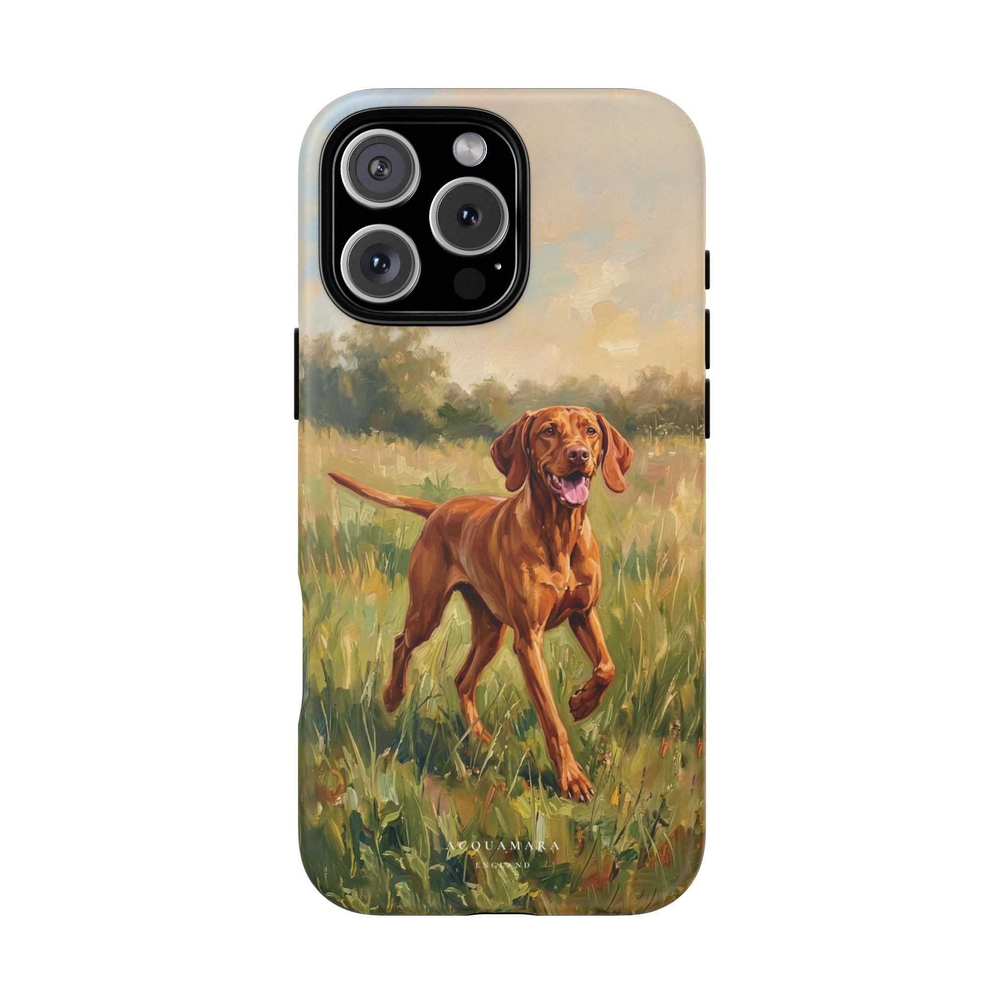 The Hungarian Vizsla