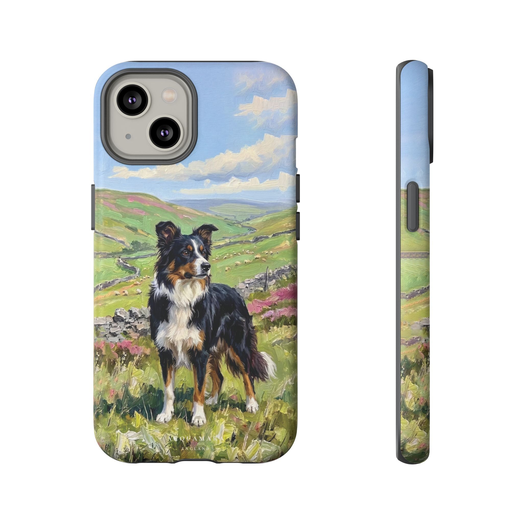 The Border Collie