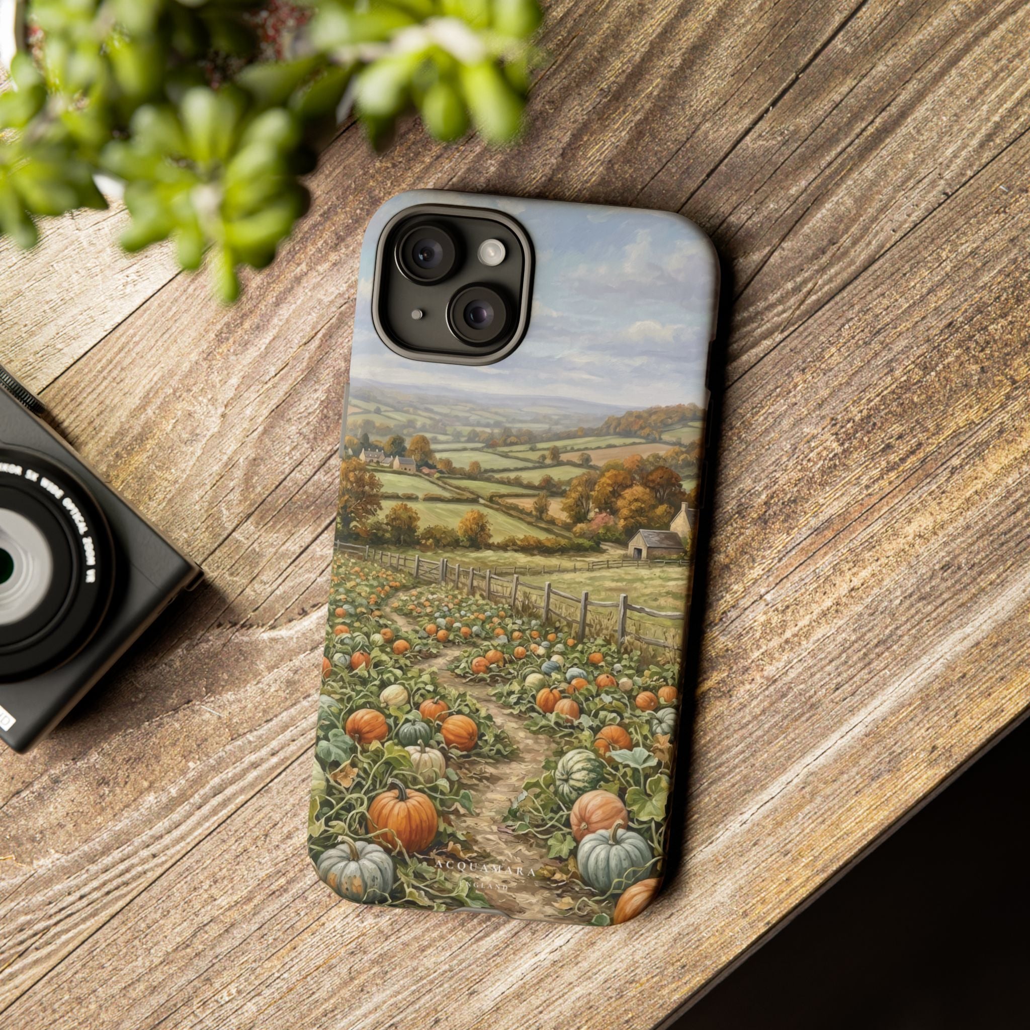 The Pumpkin Field