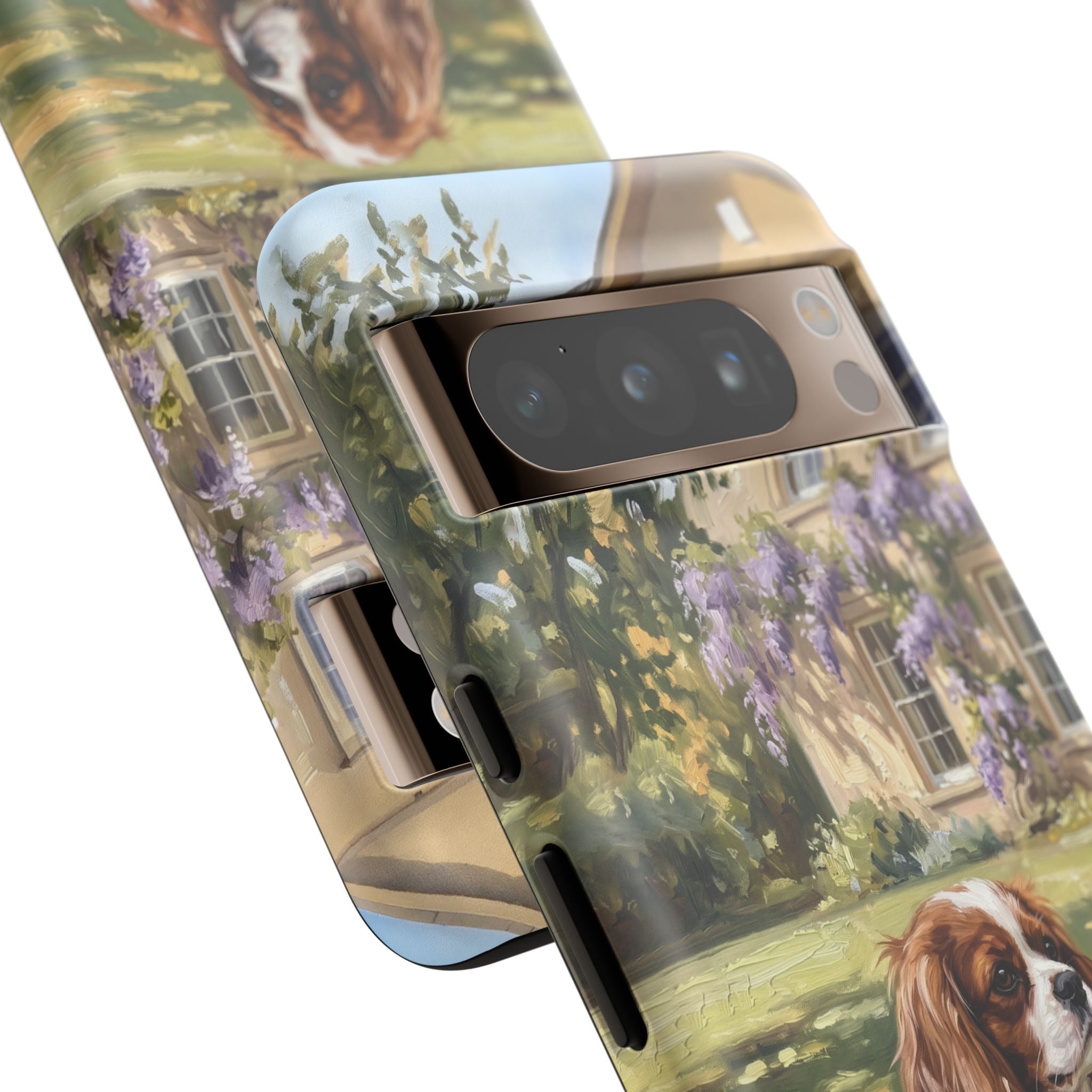 The Cavalier King Charles Spaniel