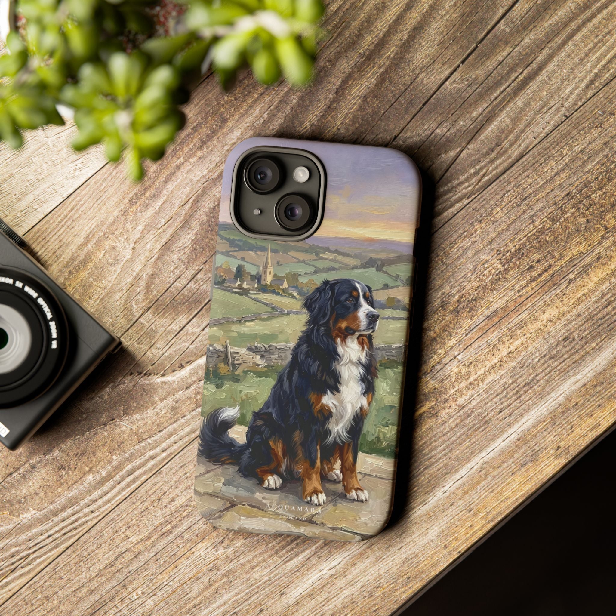 The Bernese Mountain Dog