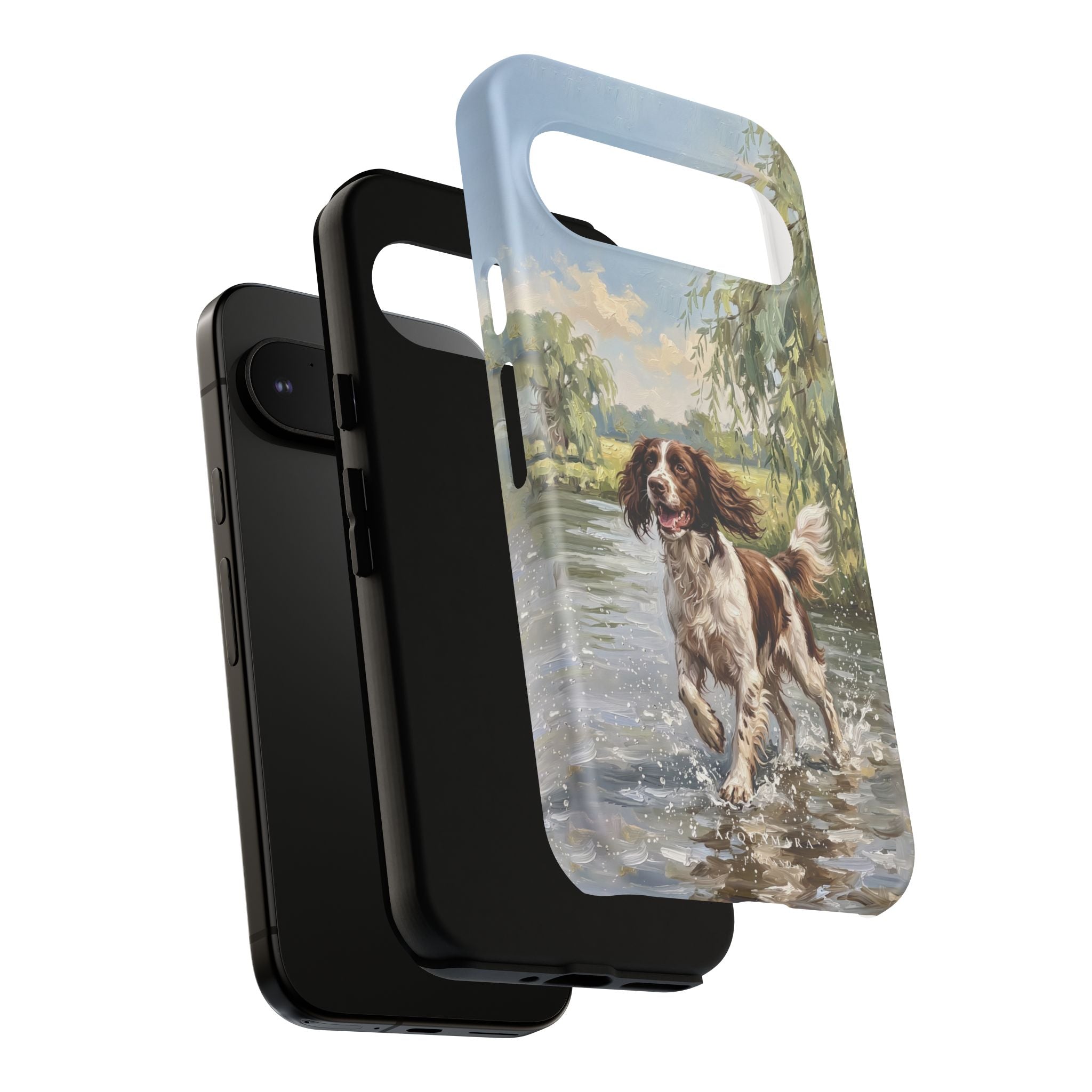 The Springer Spaniel (Liver and White)
