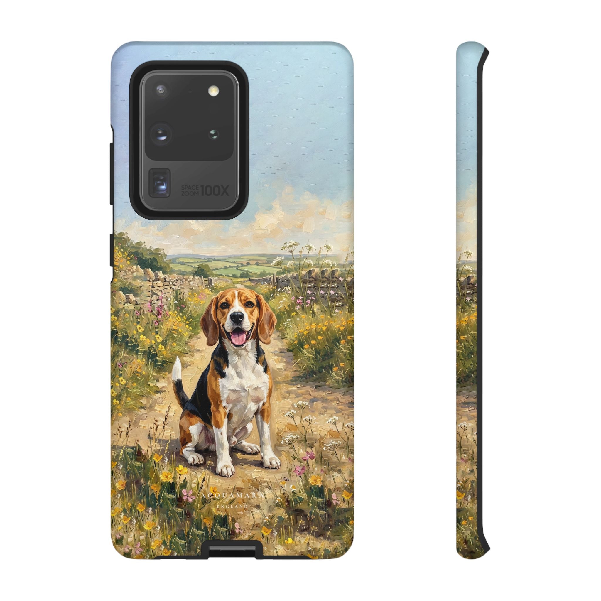 The Beagle