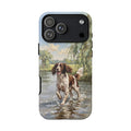 The Springer Spaniel (Liver and White)