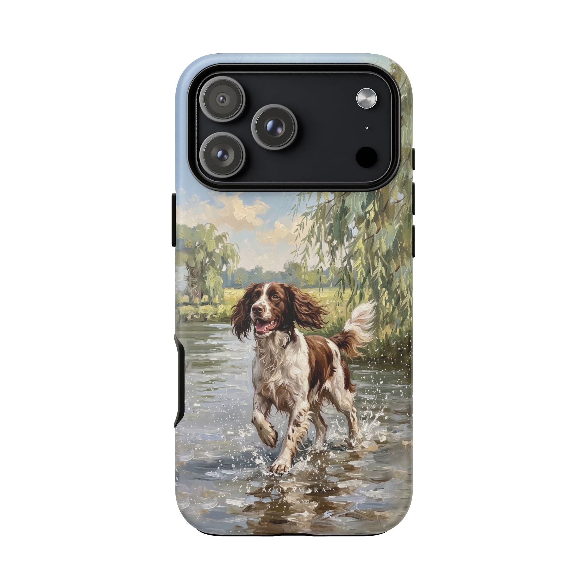 The Springer Spaniel (Liver and White)