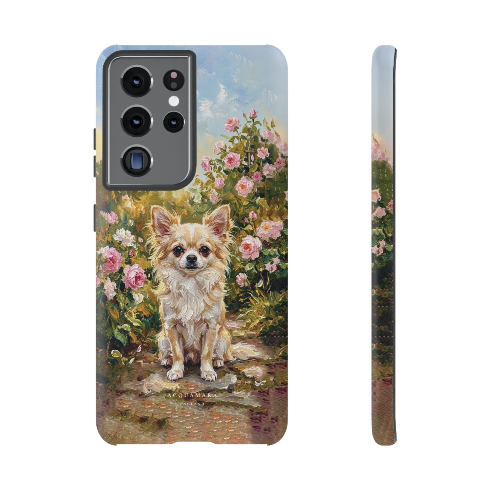 The Chihuahua - Longcoat