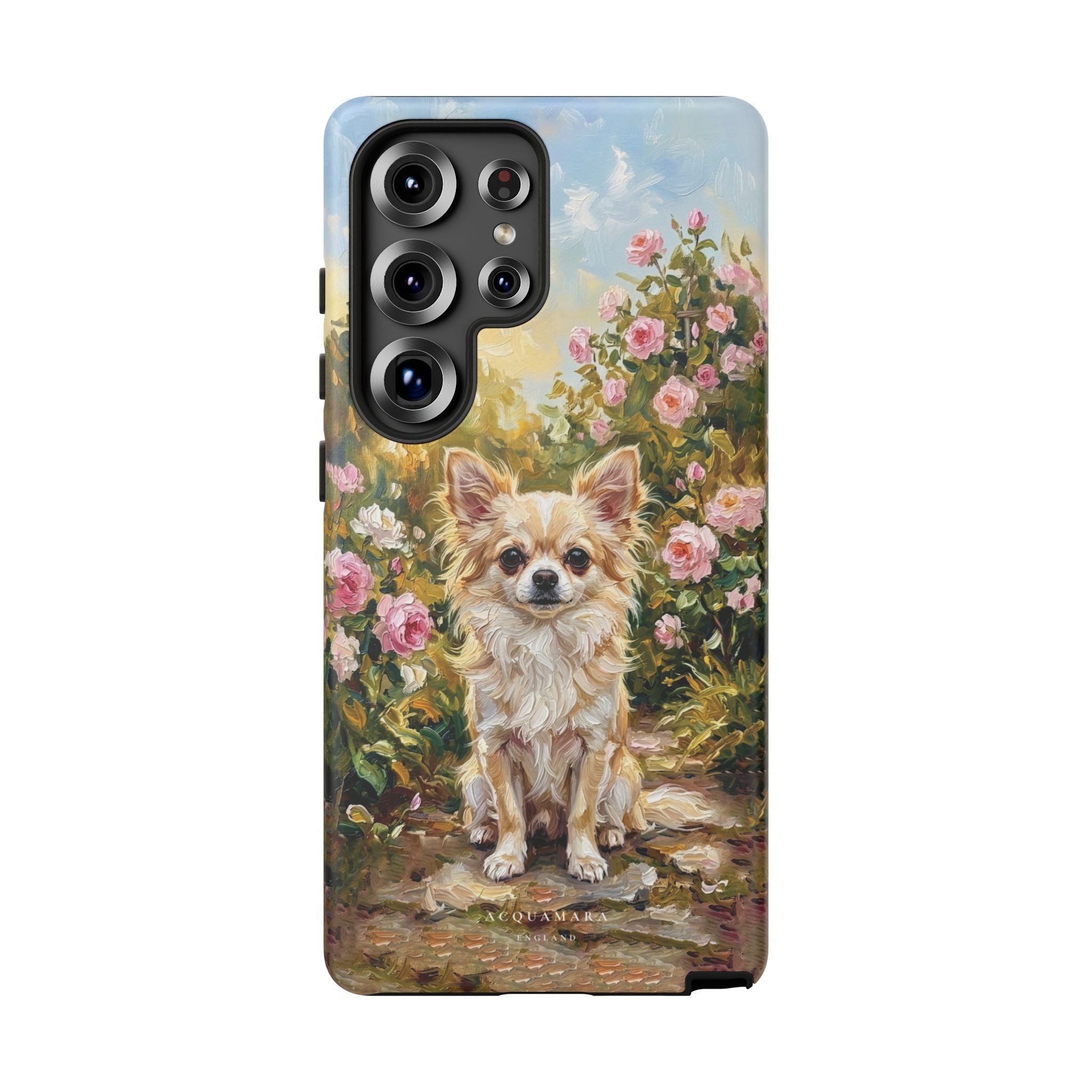 The Chihuahua - Longcoat