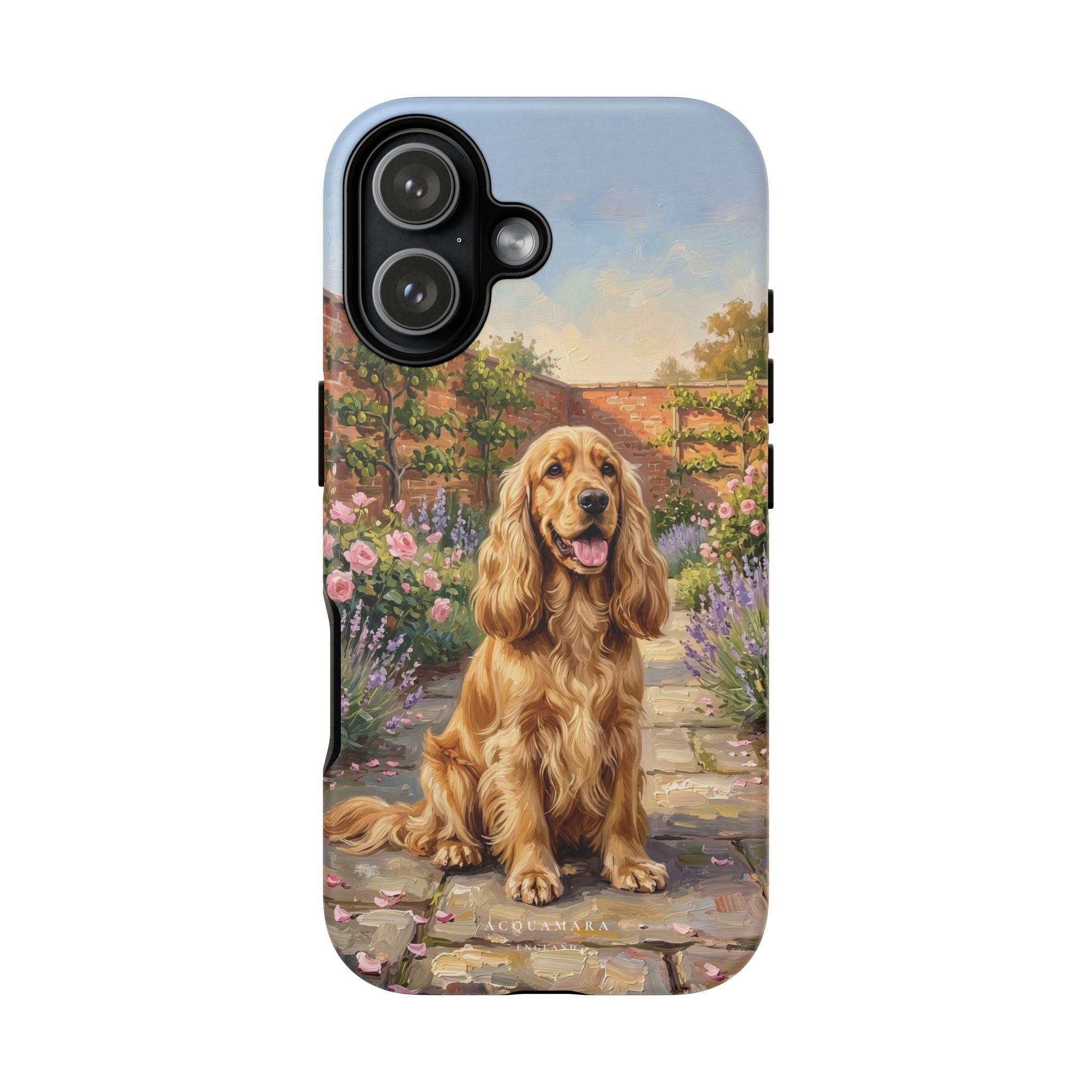 The Show Cocker (Golden)