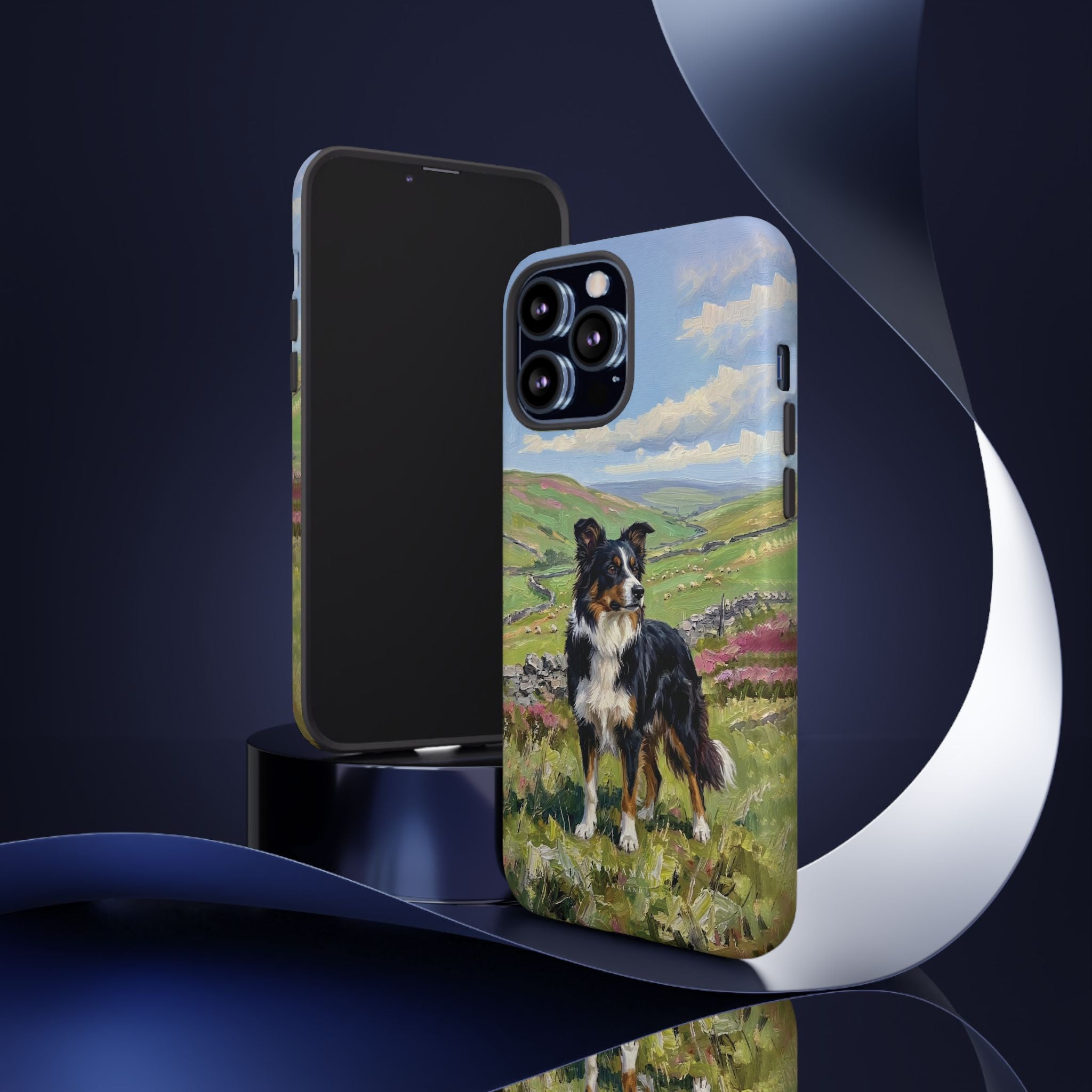 The Border Collie