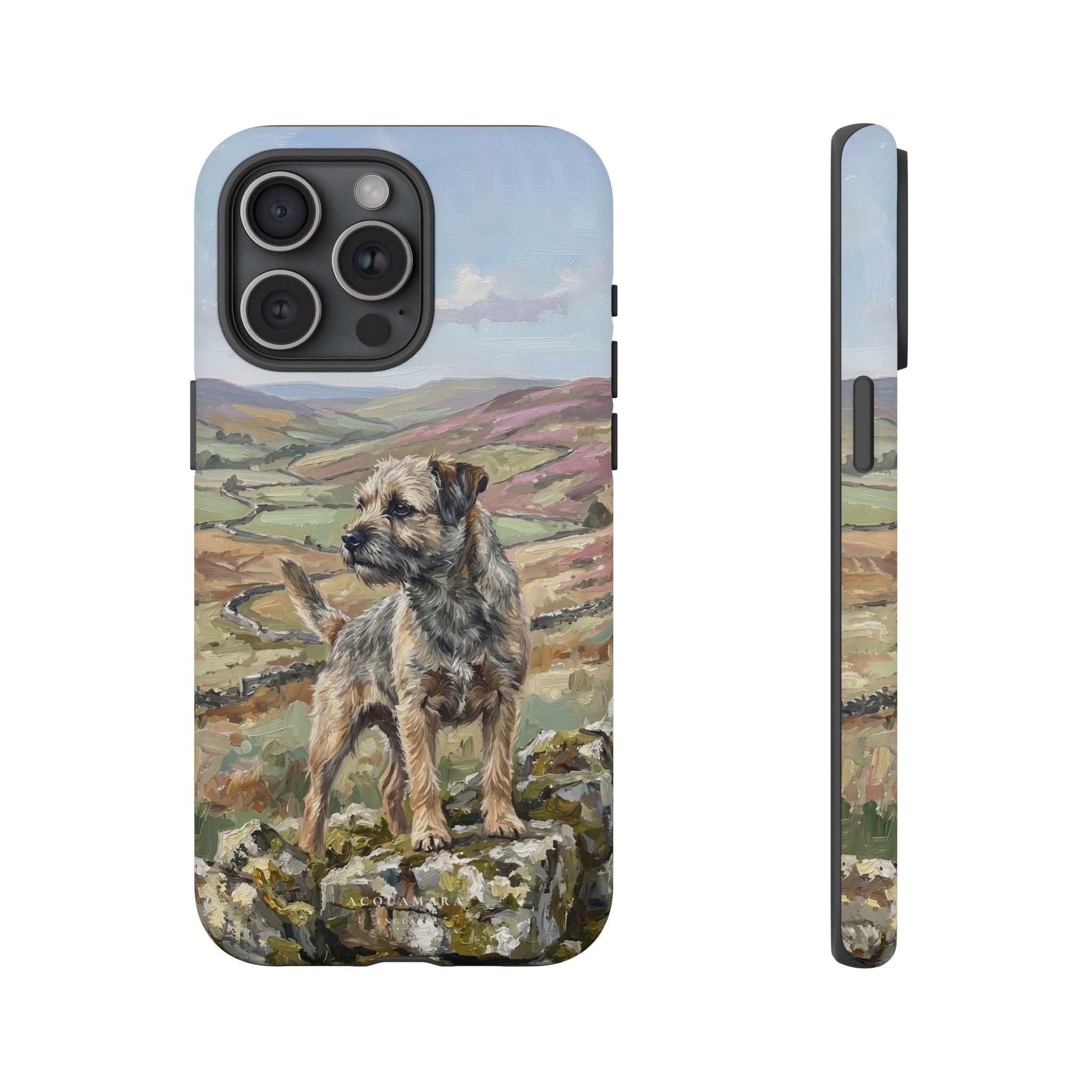 The Border Terrier (Grizzle and Tan)