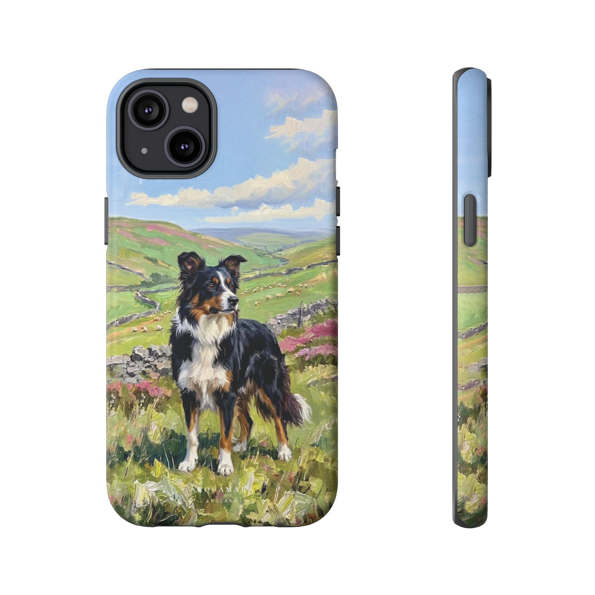 The Border Collie