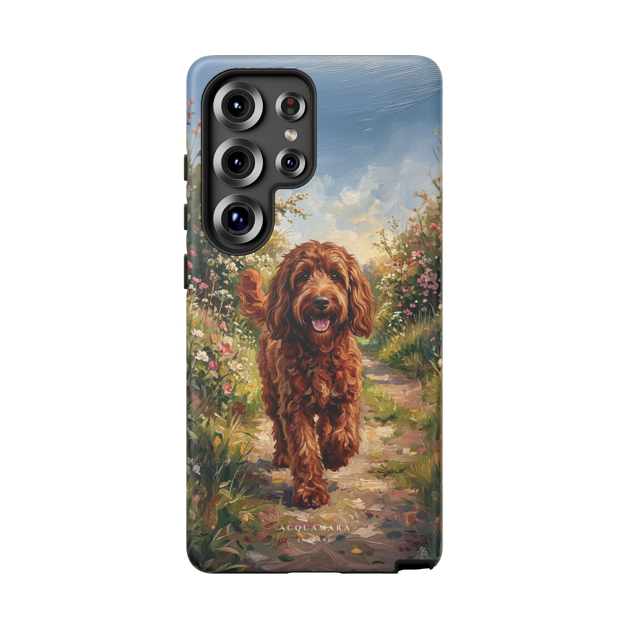 The Goldendoodle