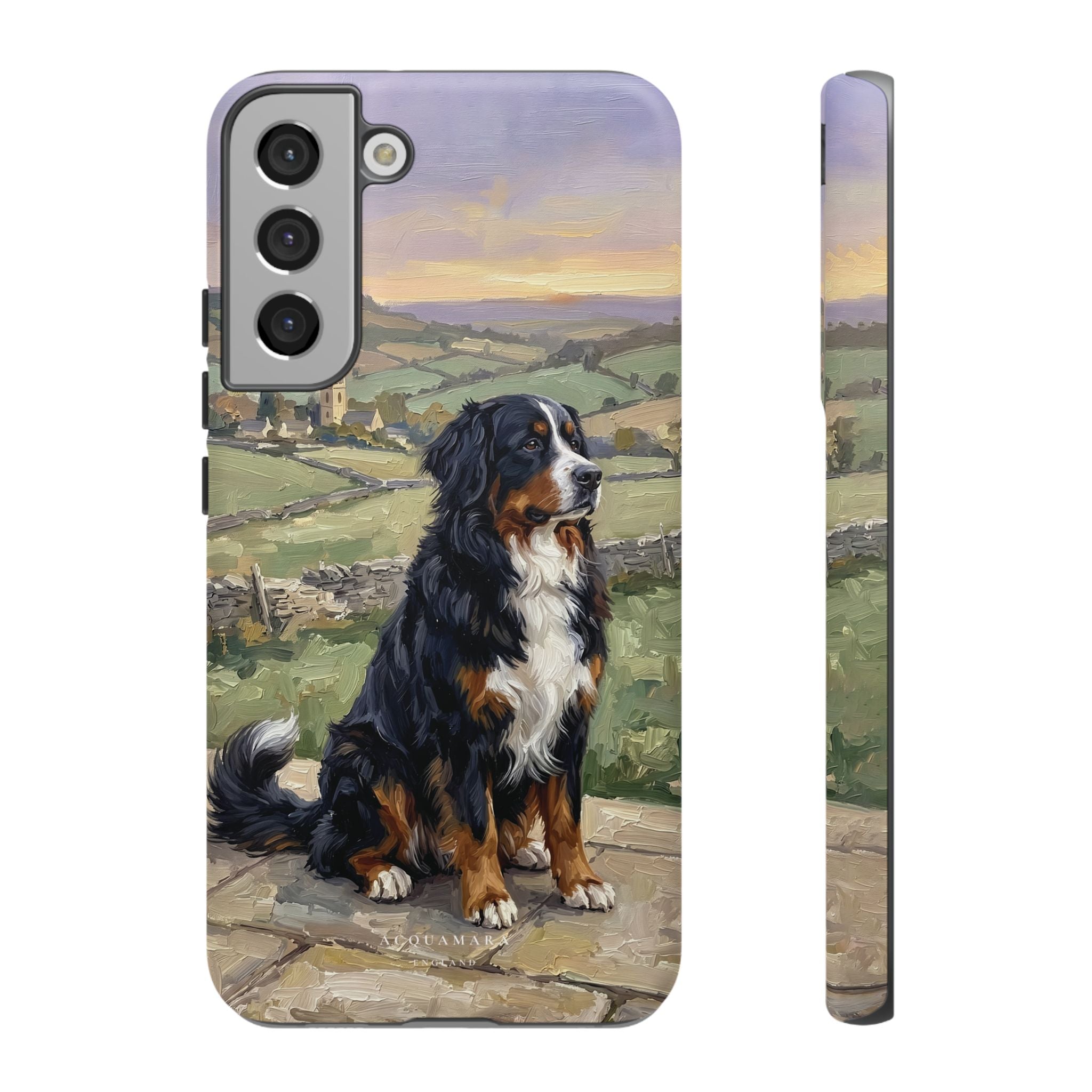 The Bernese Mountain Dog
