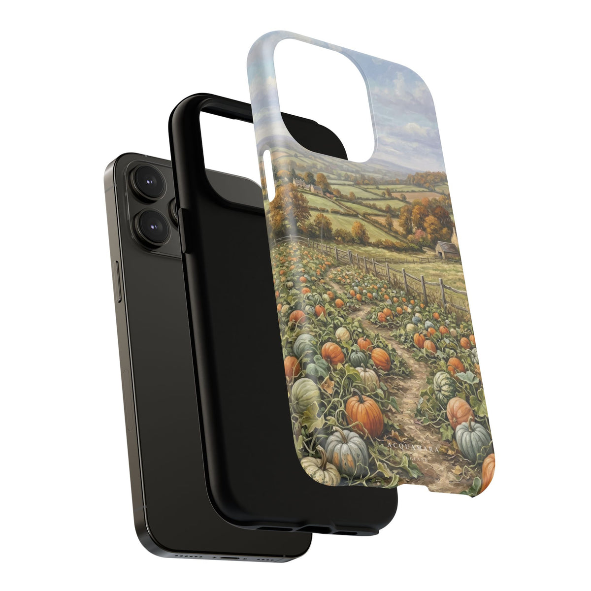 The Pumpkin Field (MagSafe)