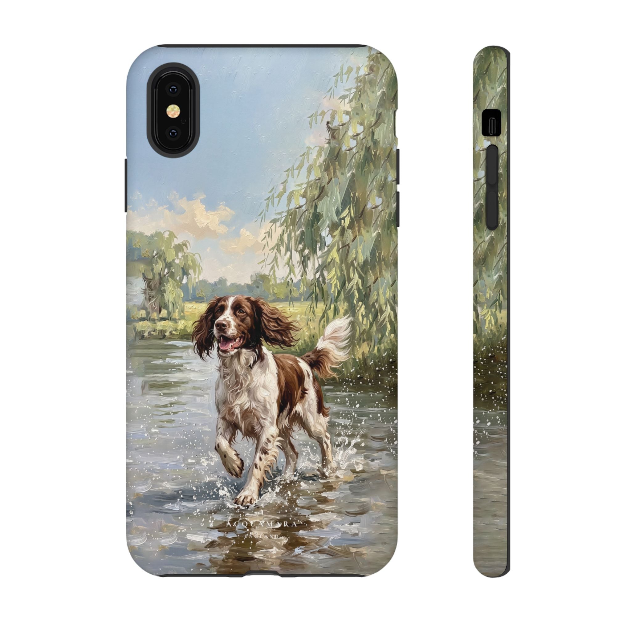 The Springer Spaniel (Liver and White)