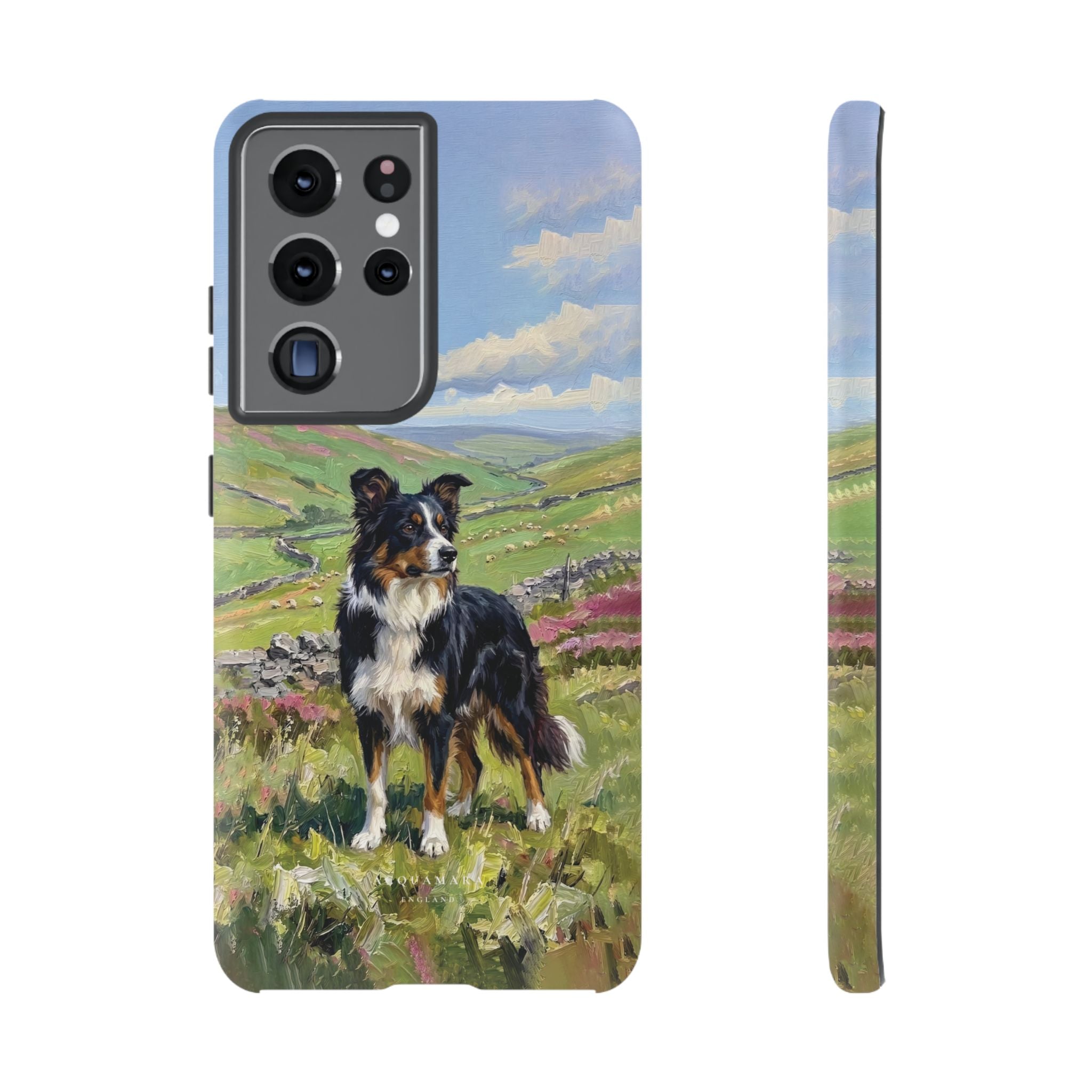The Border Collie