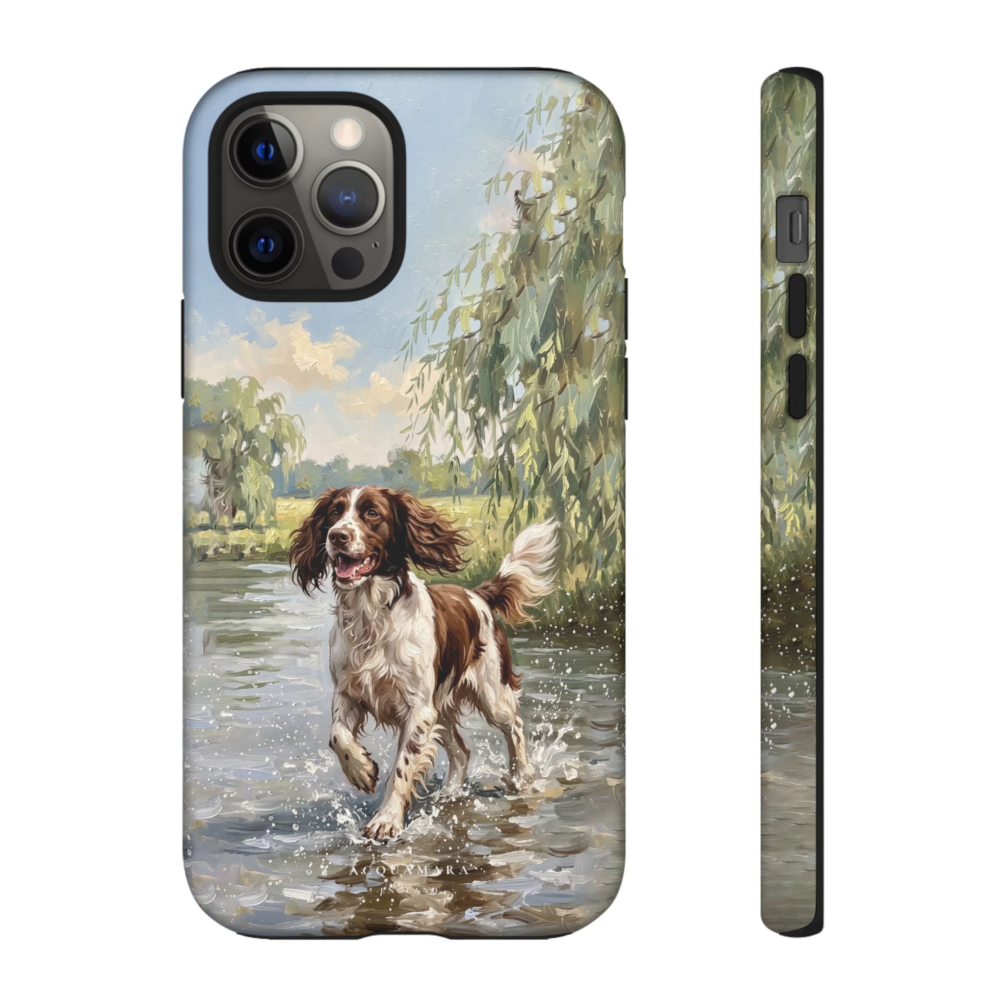 The Springer Spaniel (Liver and White)