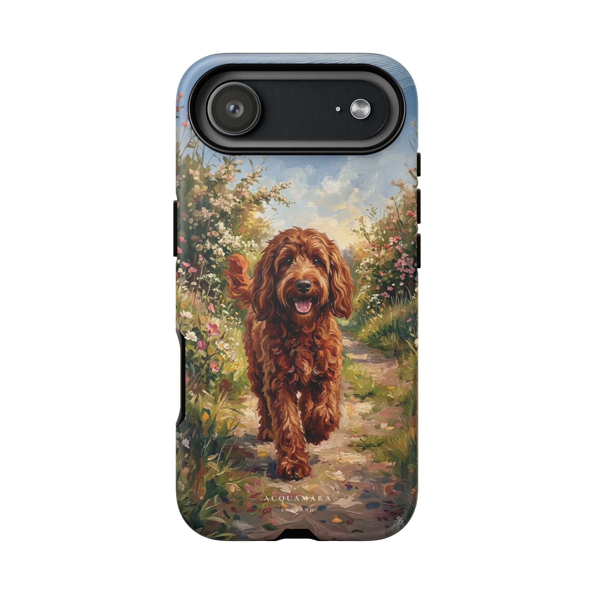 The Goldendoodle