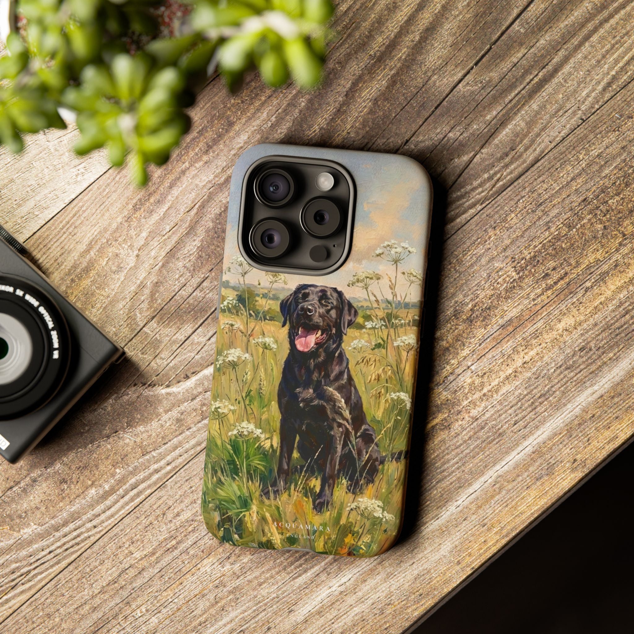 The Labrador (Black)