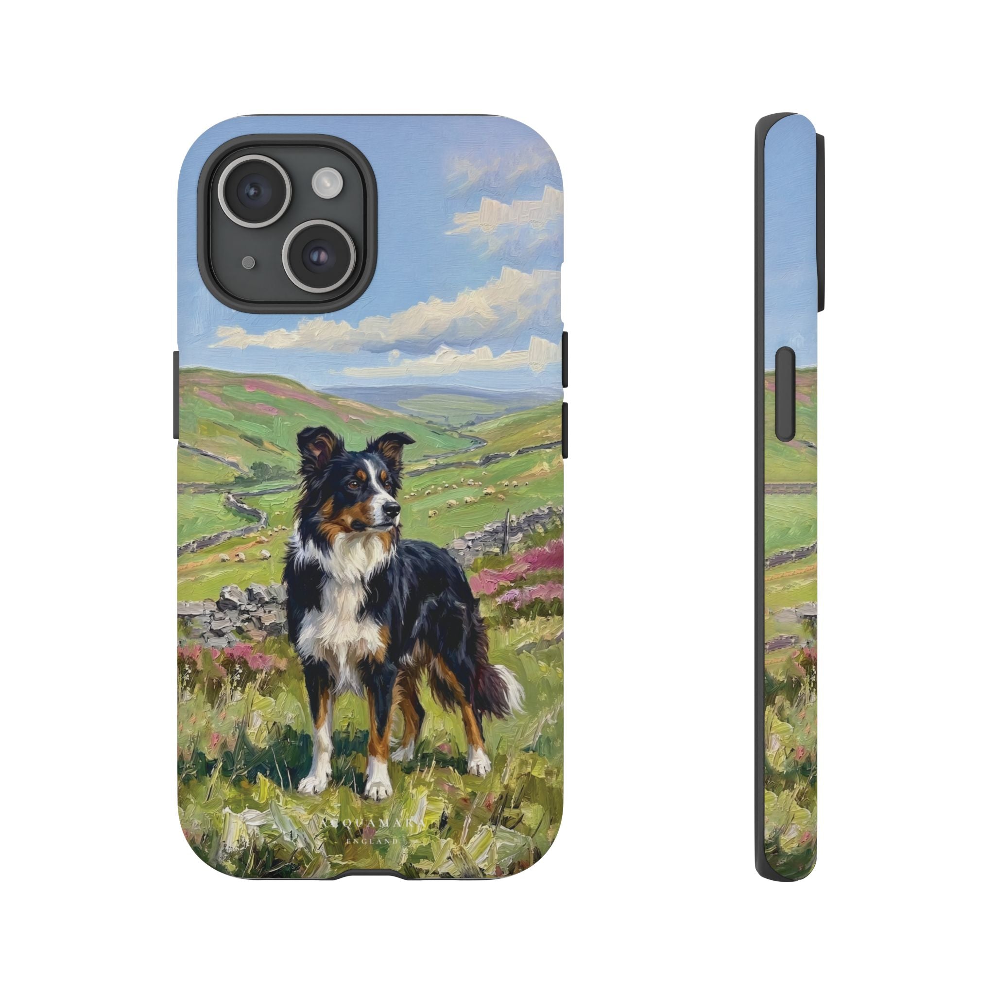 The Border Collie