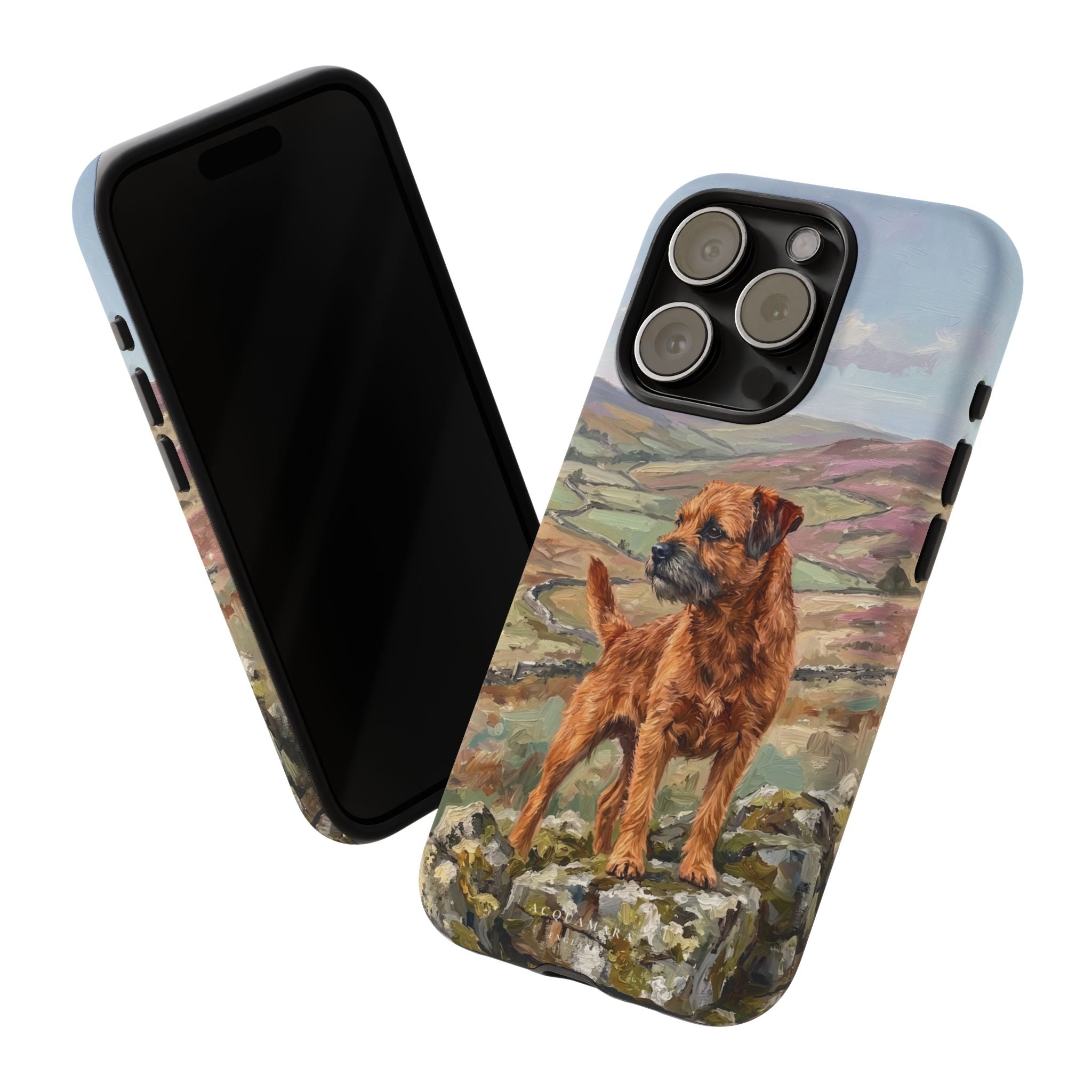 The Border Terrier (Red)