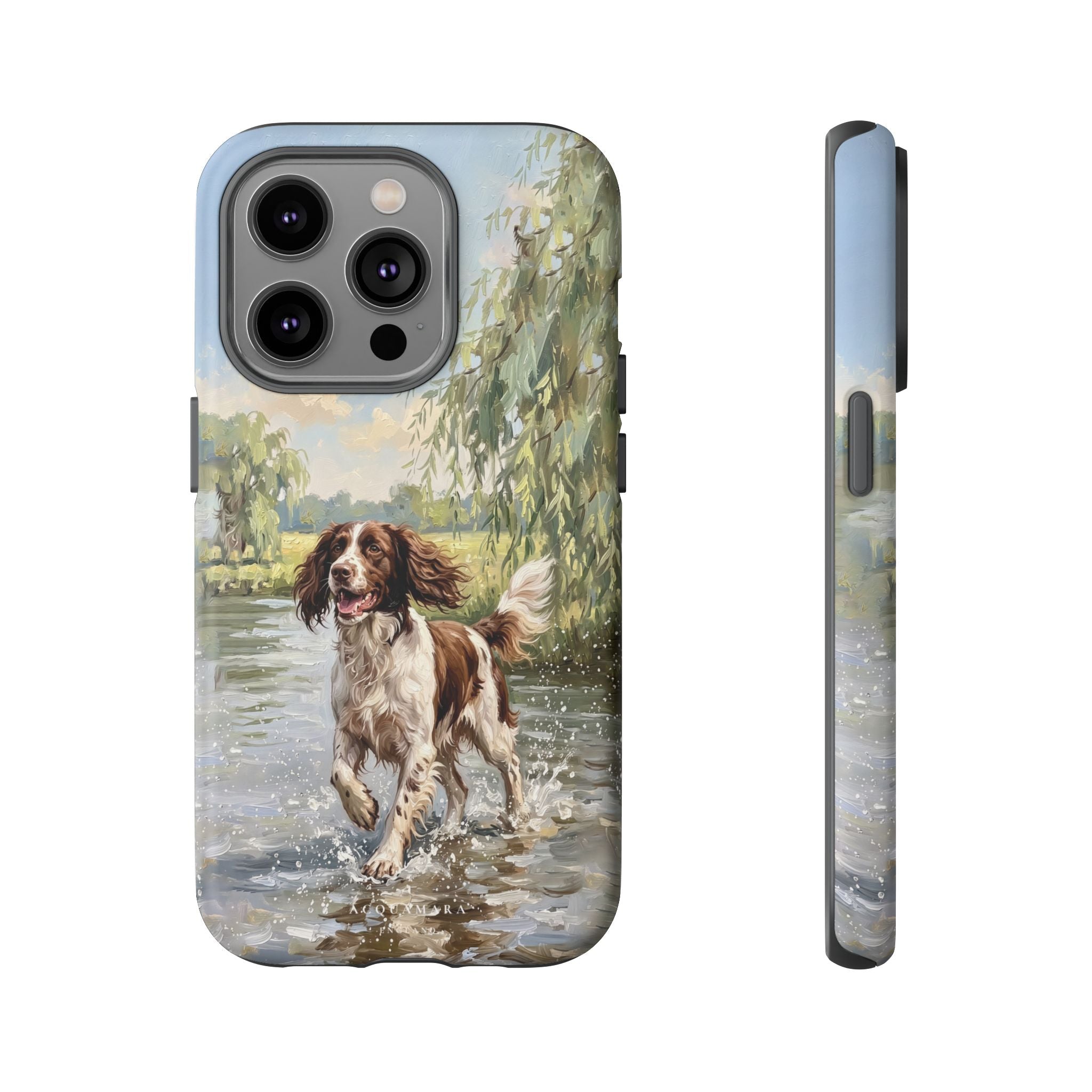 The Springer Spaniel (Liver and White)
