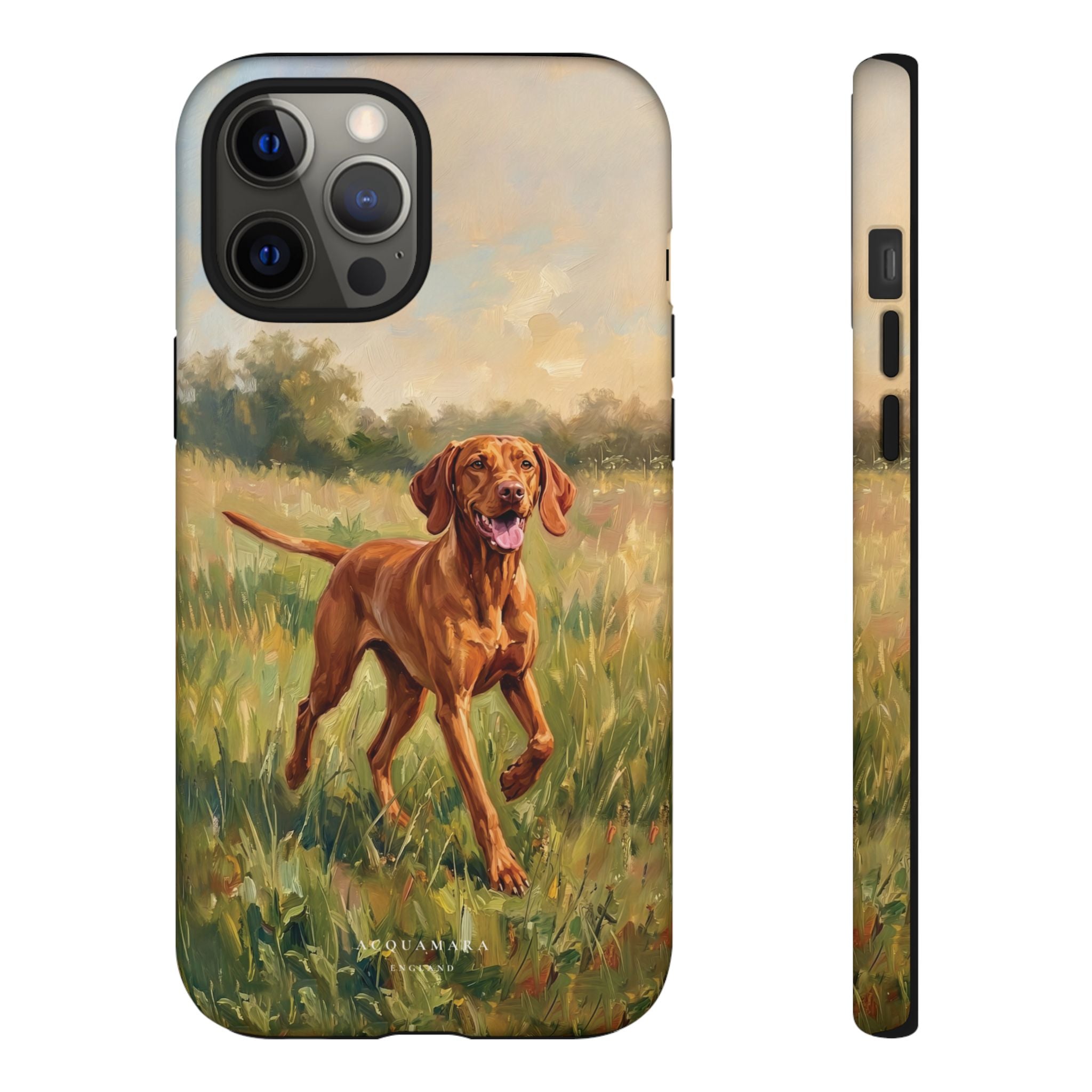 The Hungarian Vizsla