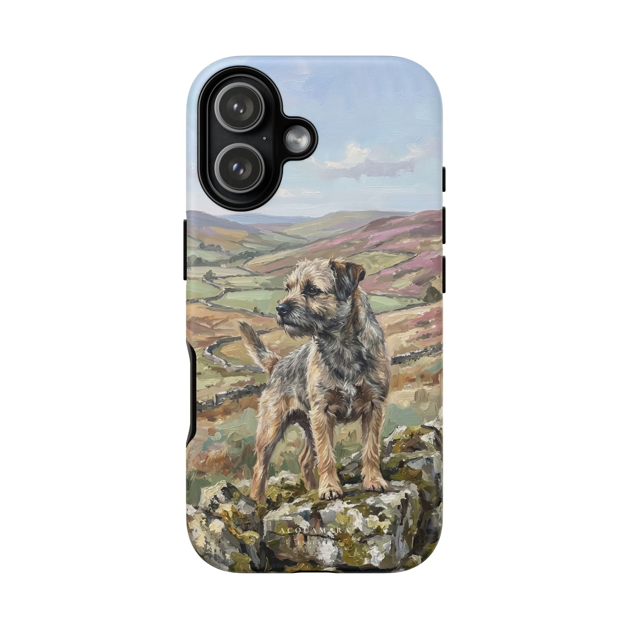 The Border Terrier (Grizzle and Tan)