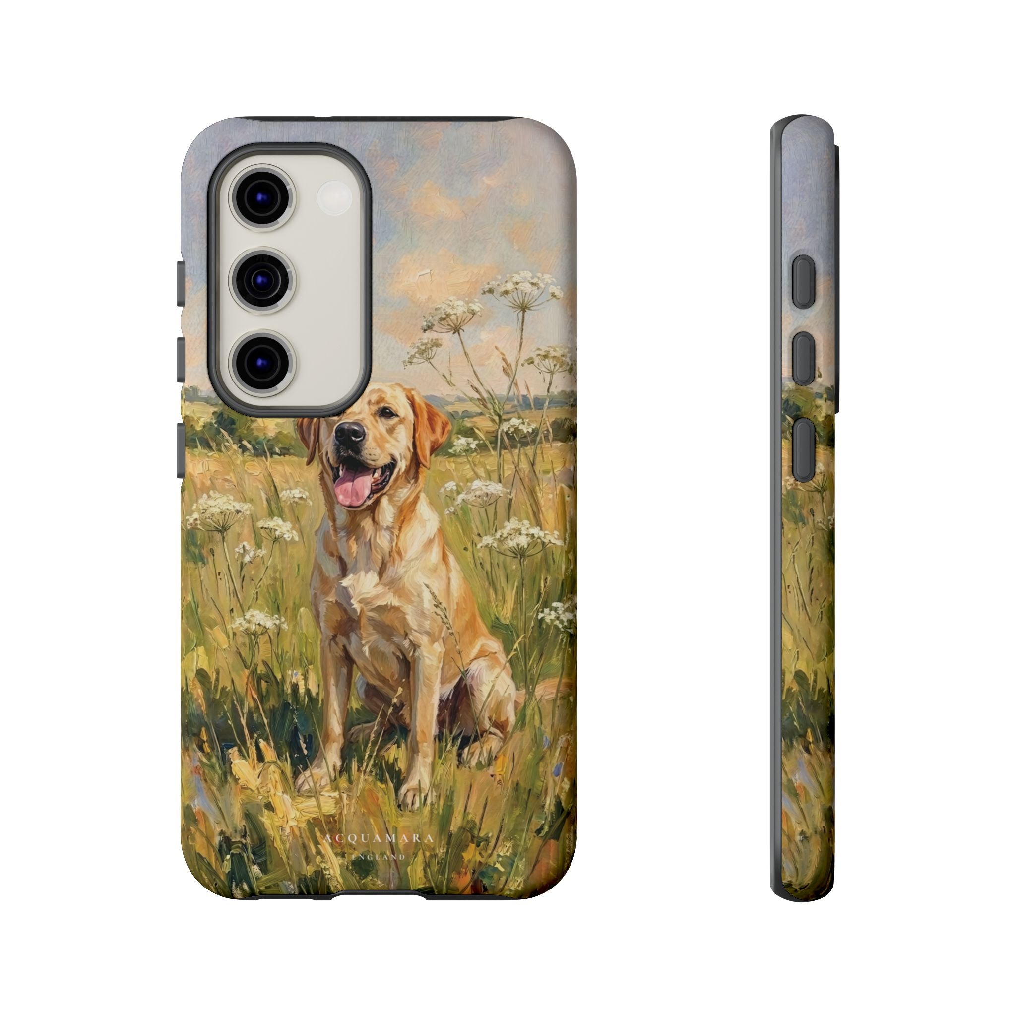 The Labrador (Yellow)