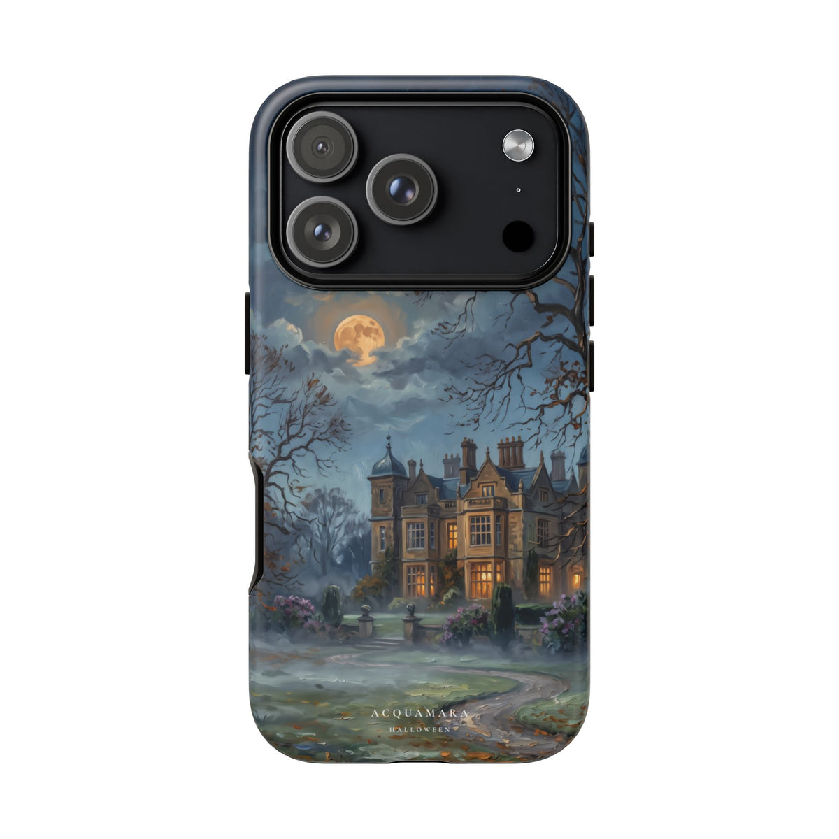 Dusk at the Manor