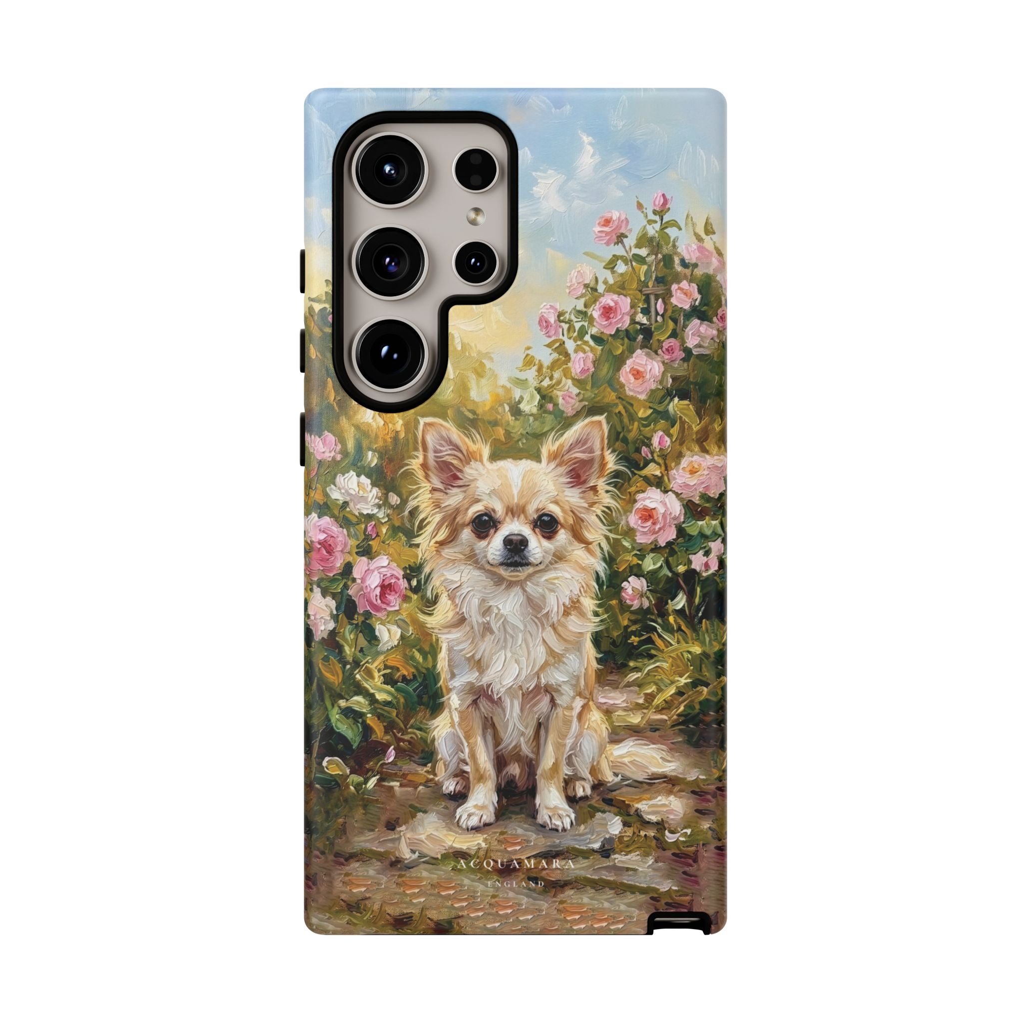 The Chihuahua - Longcoat