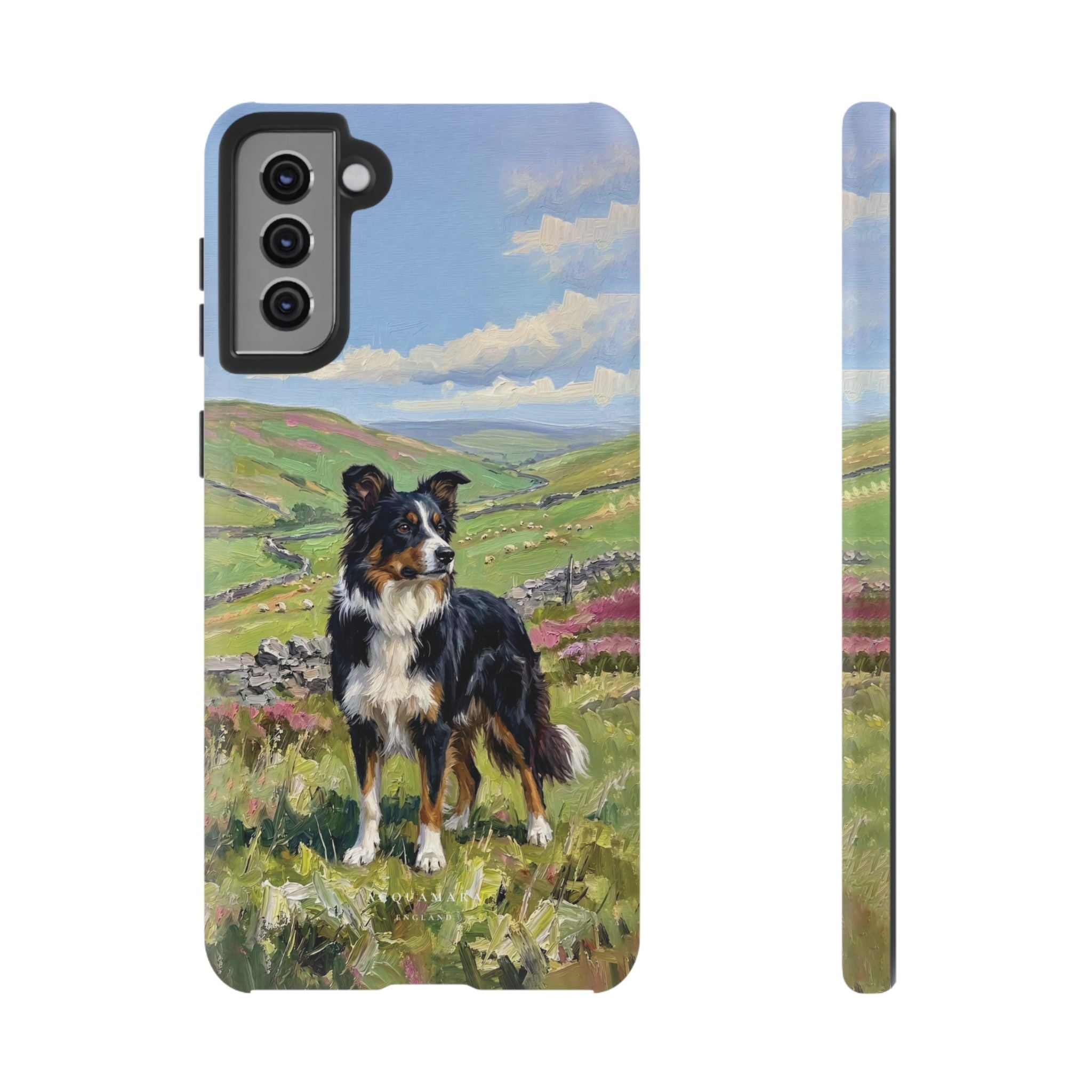 The Border Collie