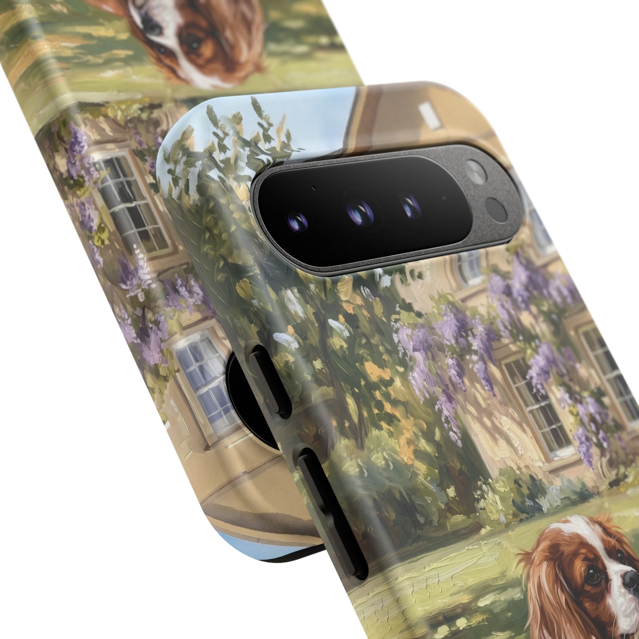 The Cavalier King Charles Spaniel