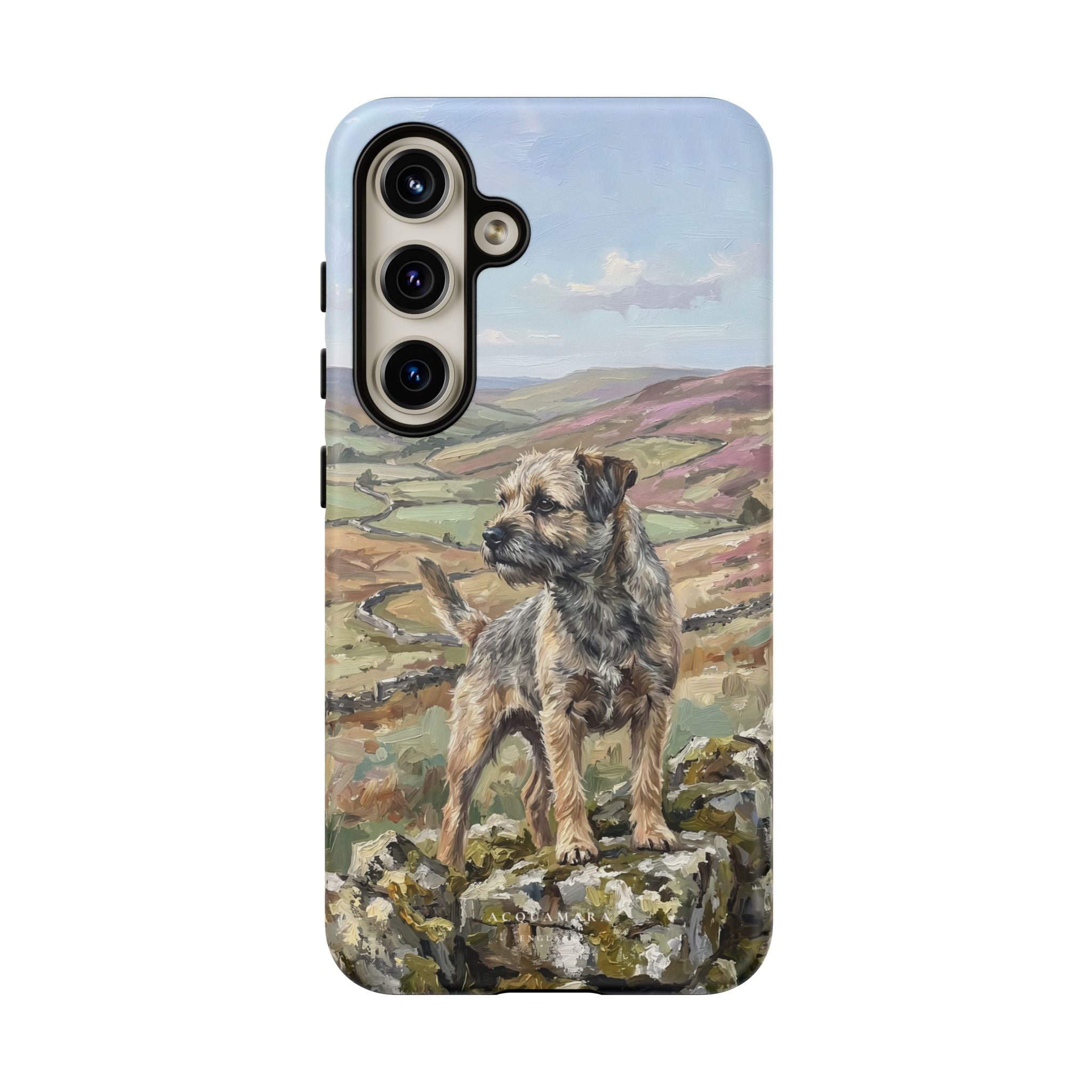 The Border Terrier (Grizzle and Tan)