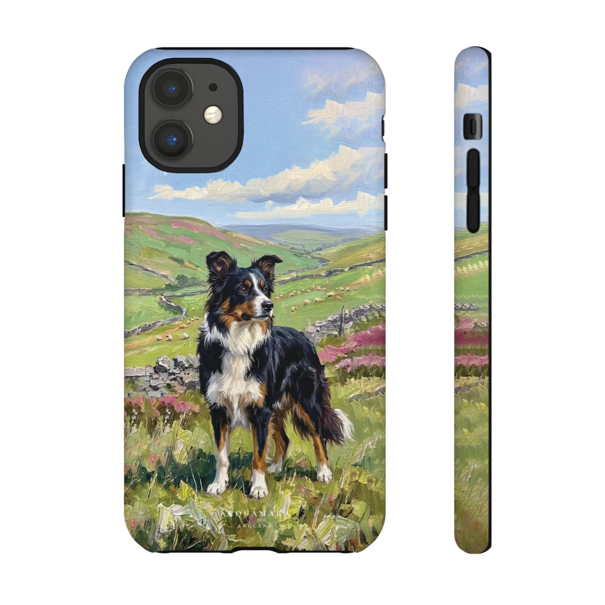 The Border Collie