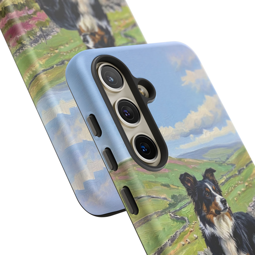 The Border Collie