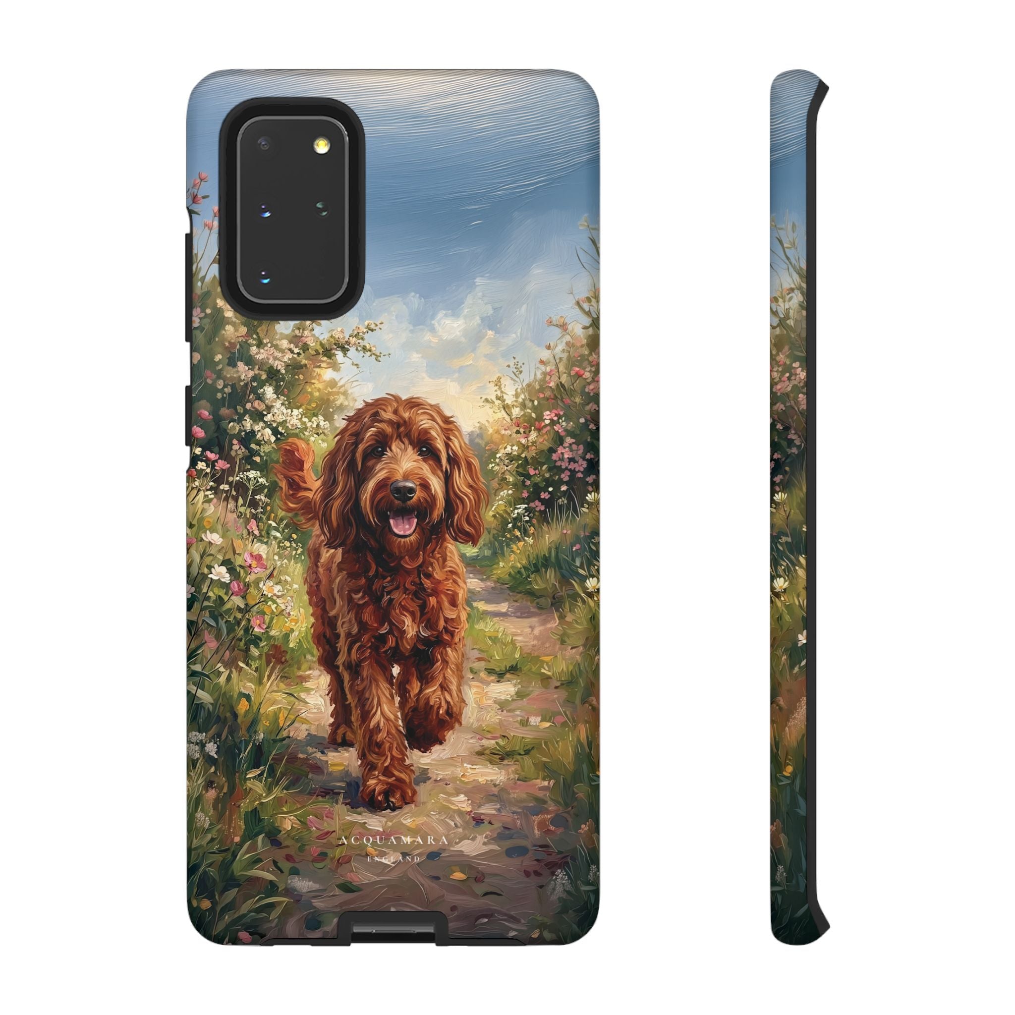 The Goldendoodle
